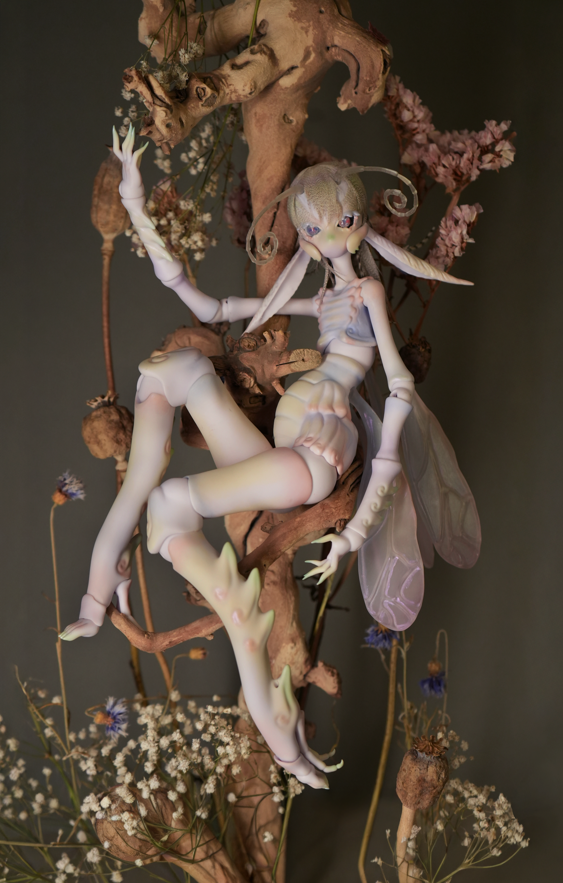 DSC00478.png