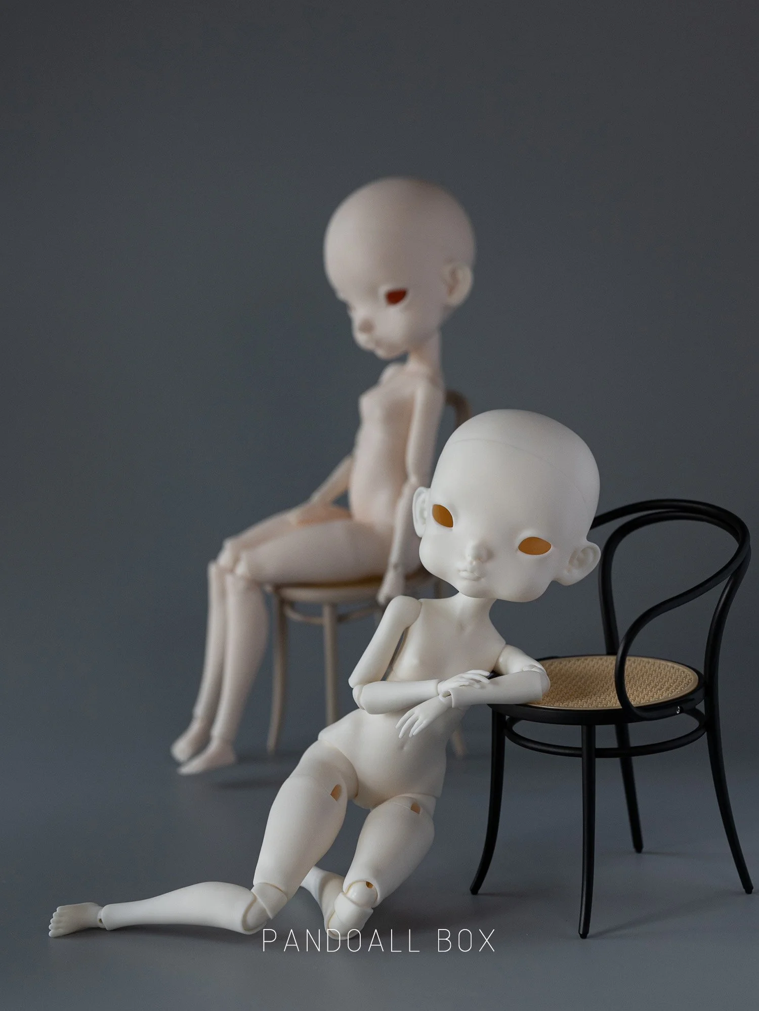 body (11).jpg