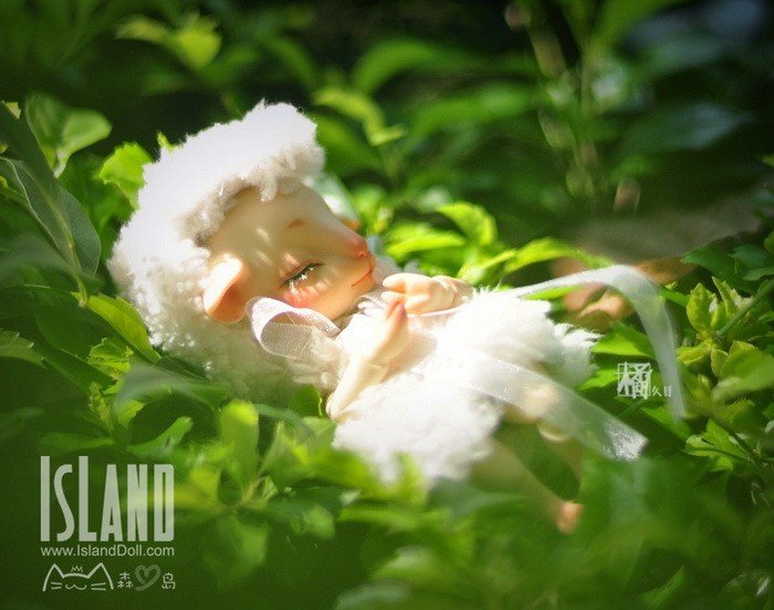 island_mianmian_04.jpg