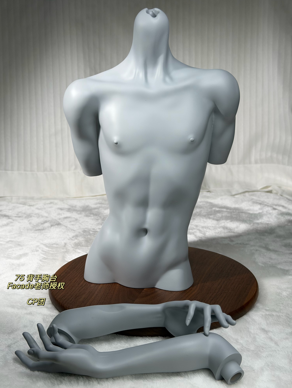 facade 75cm bust (6).png