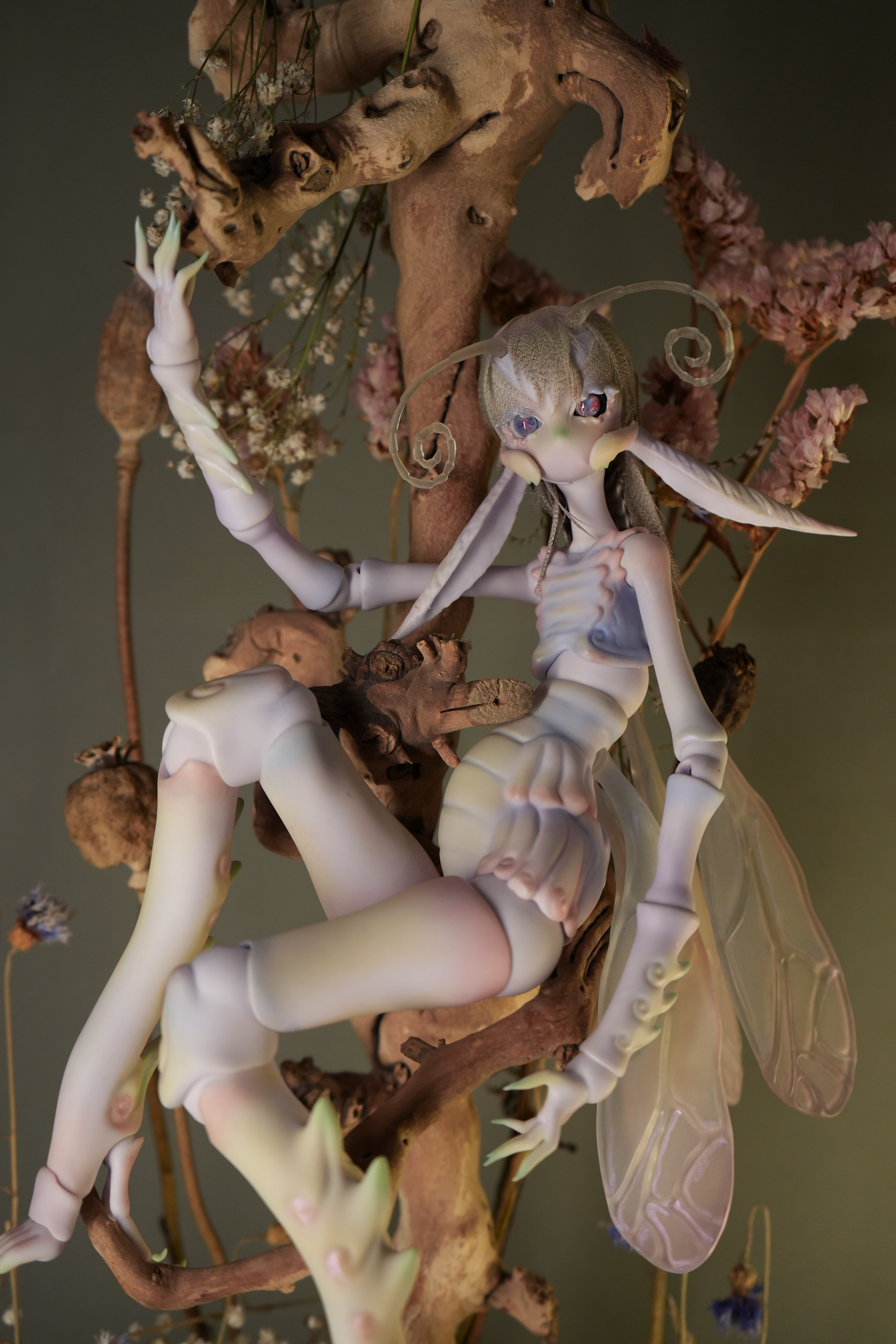 DSC00437.png