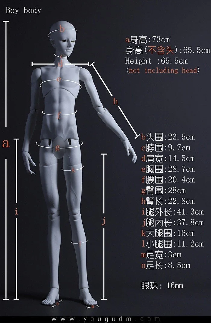 73cm boy body B73-01
 $500 (£426) - white, normal, normal pink
 $570 (£486) - gray
 $660 (£563) - light tan