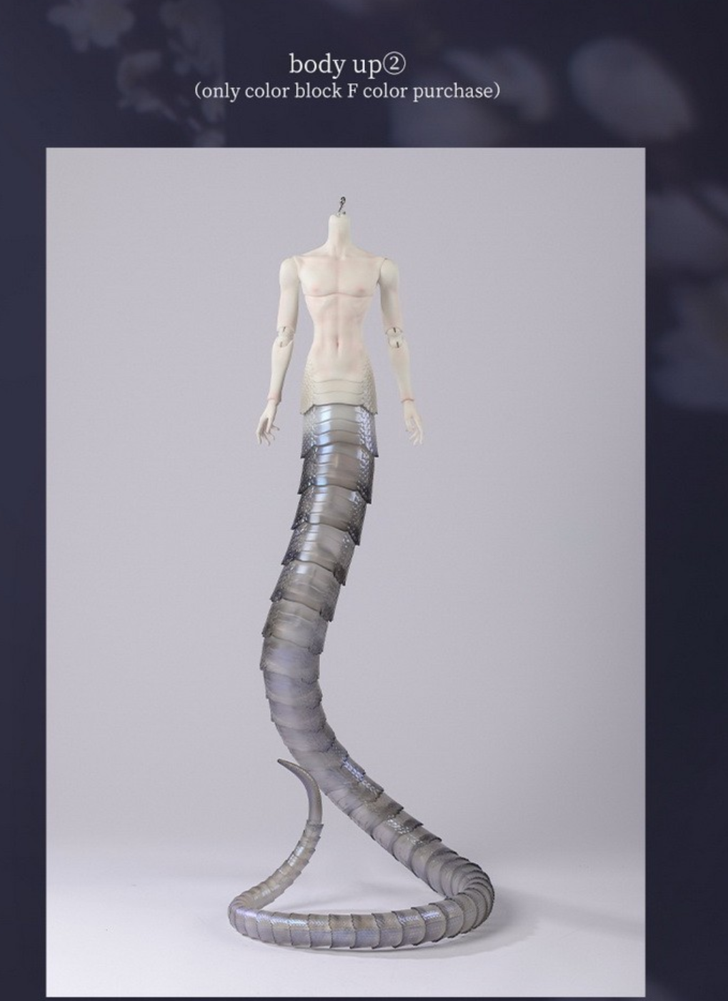 Screenshot 2025-12-14 154347.png