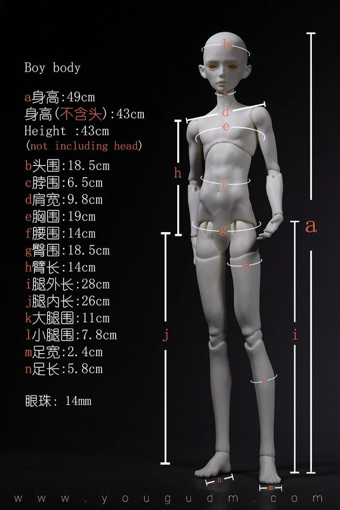 49cm boy body B4-15
 $239 (£204) - white, normal, normal pink
 $294 (£251) - gray
 $319 (£272) - light tan