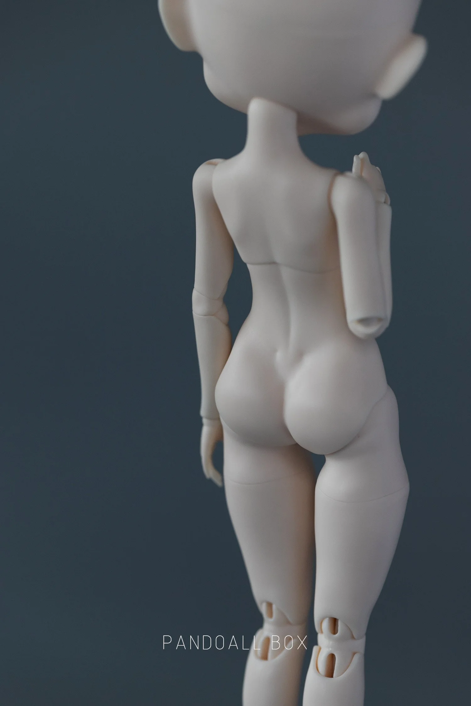 body (14).jpg