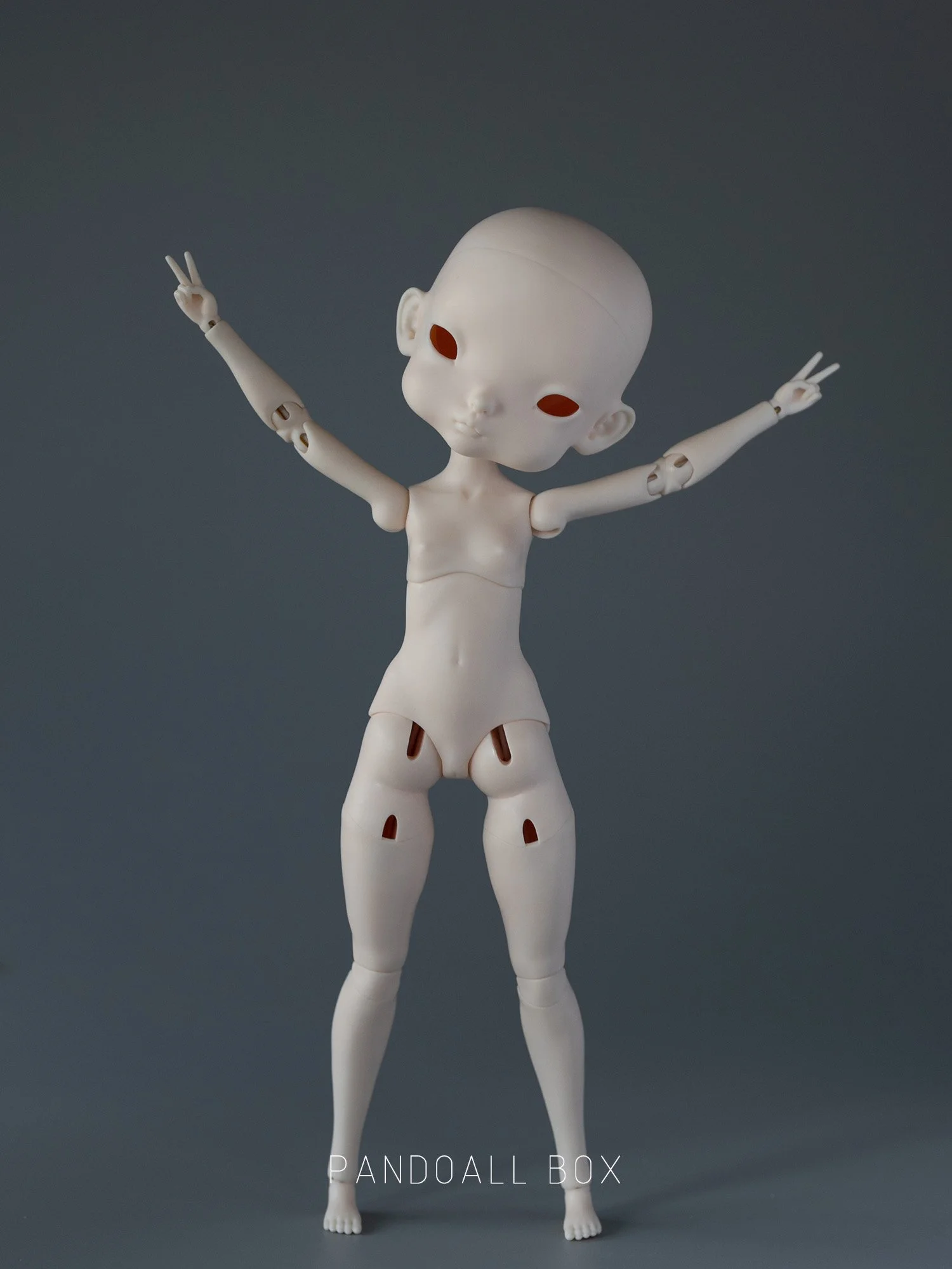 body.jpg