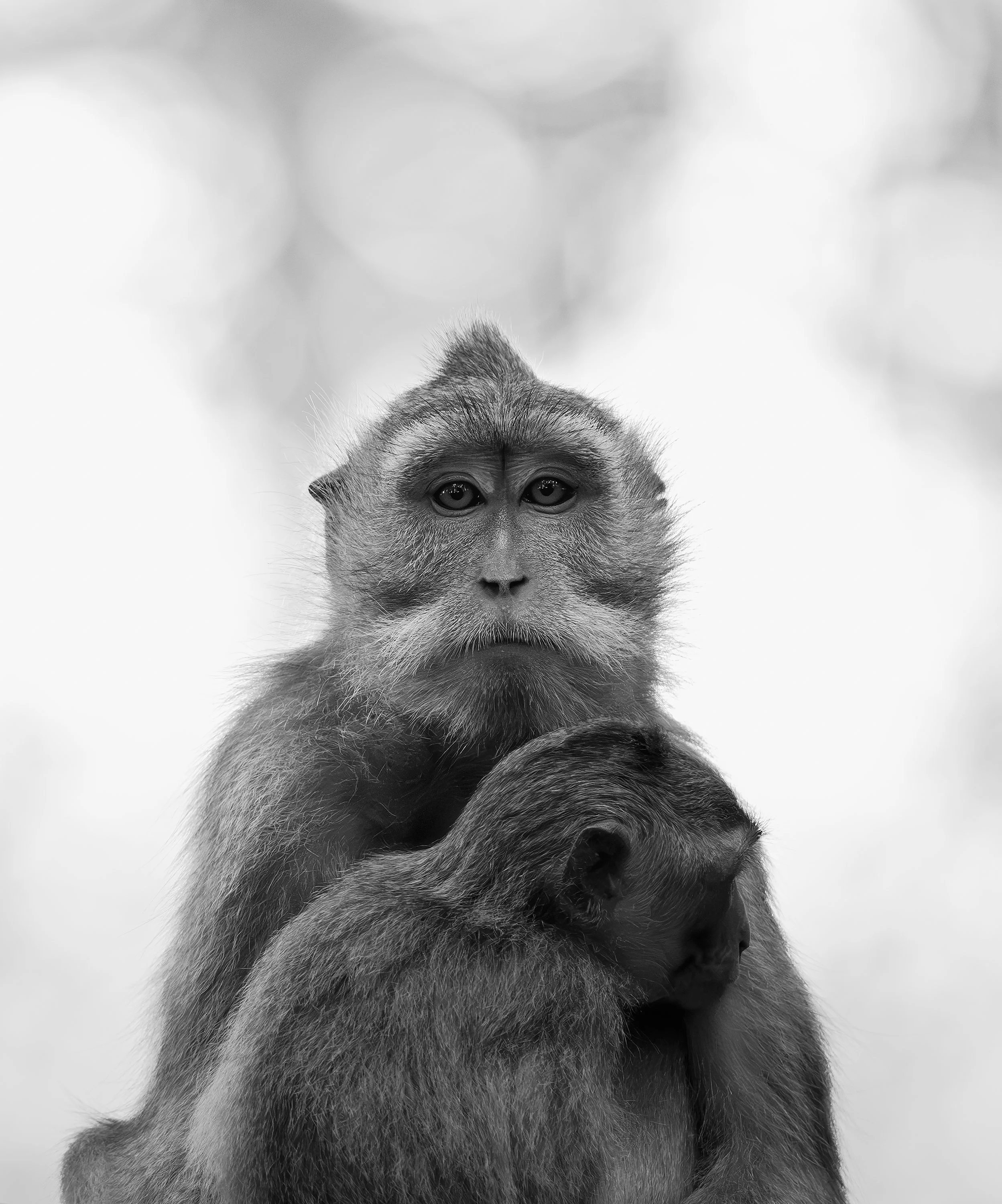 DSC_1606-Modifica.jpg