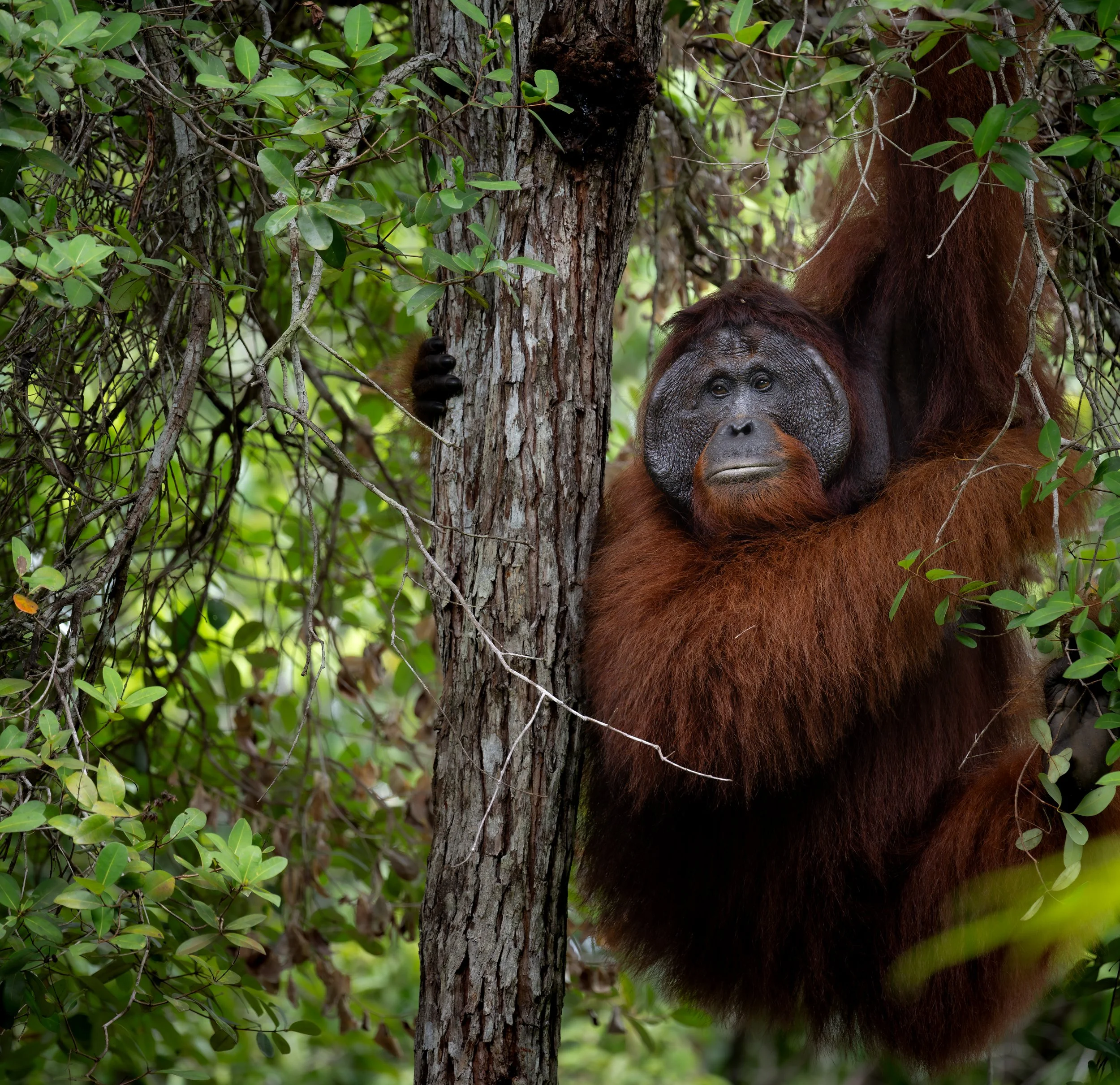 DSC_2893-Modifica.jpg
