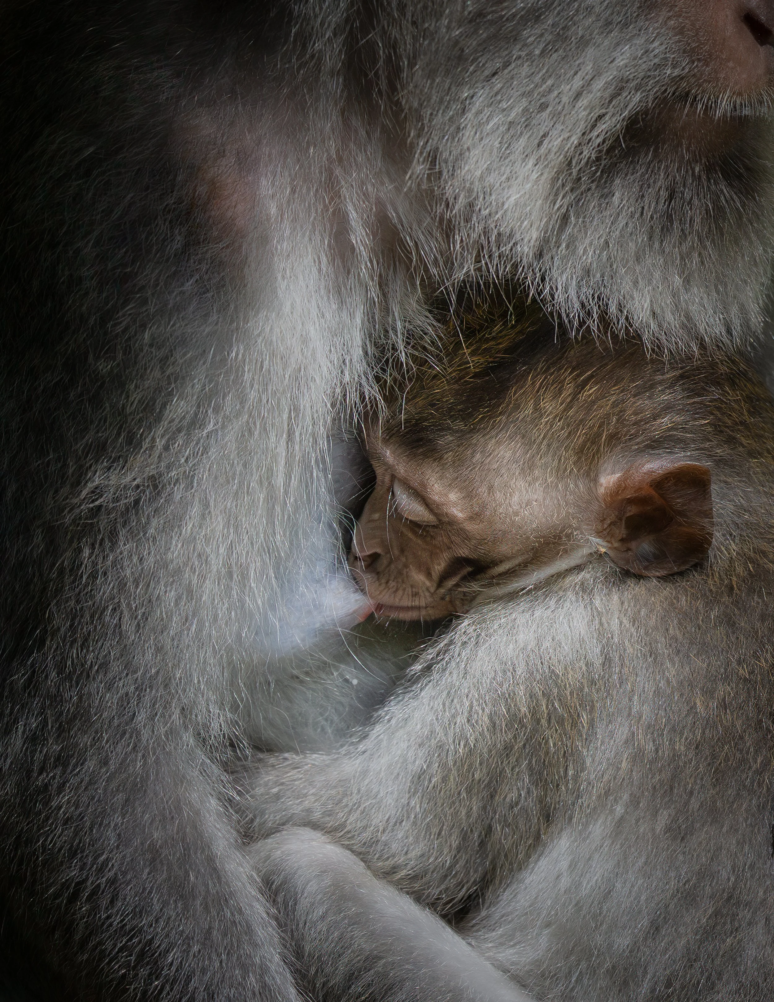 DSC_1697-Modifica.jpg