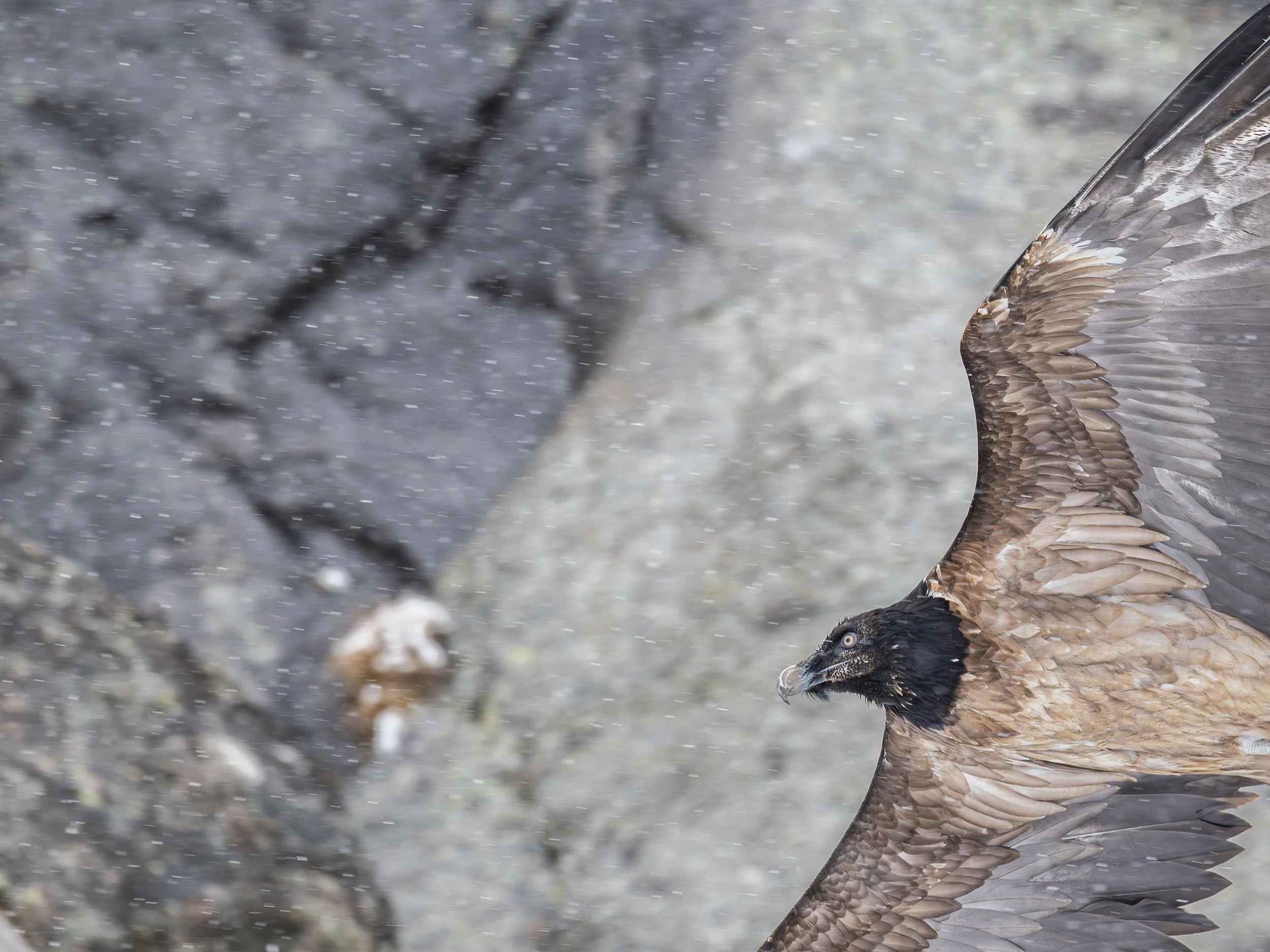 DSC_6680-Modifica.jpg