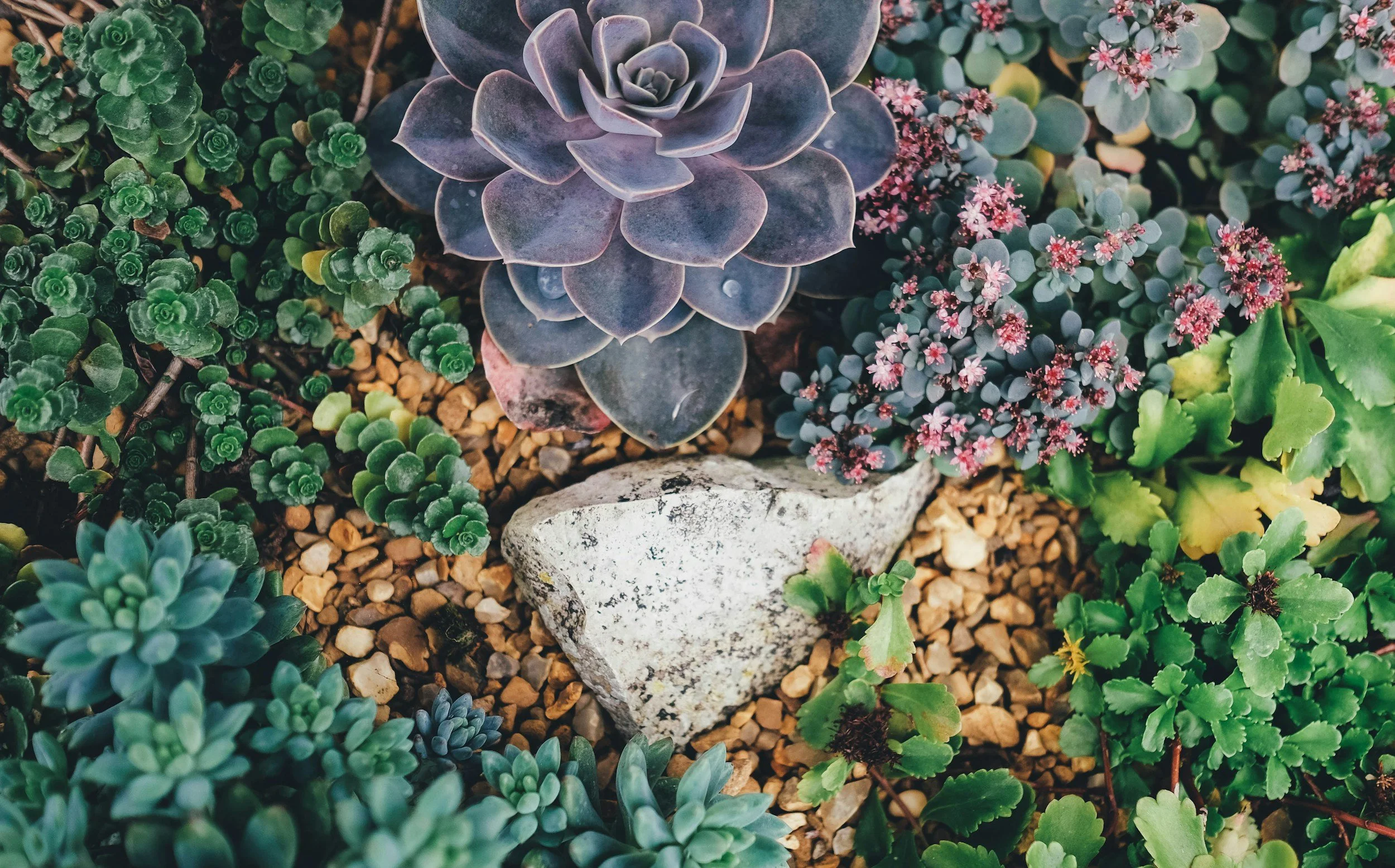 The impact of spiritual guidance on mental health