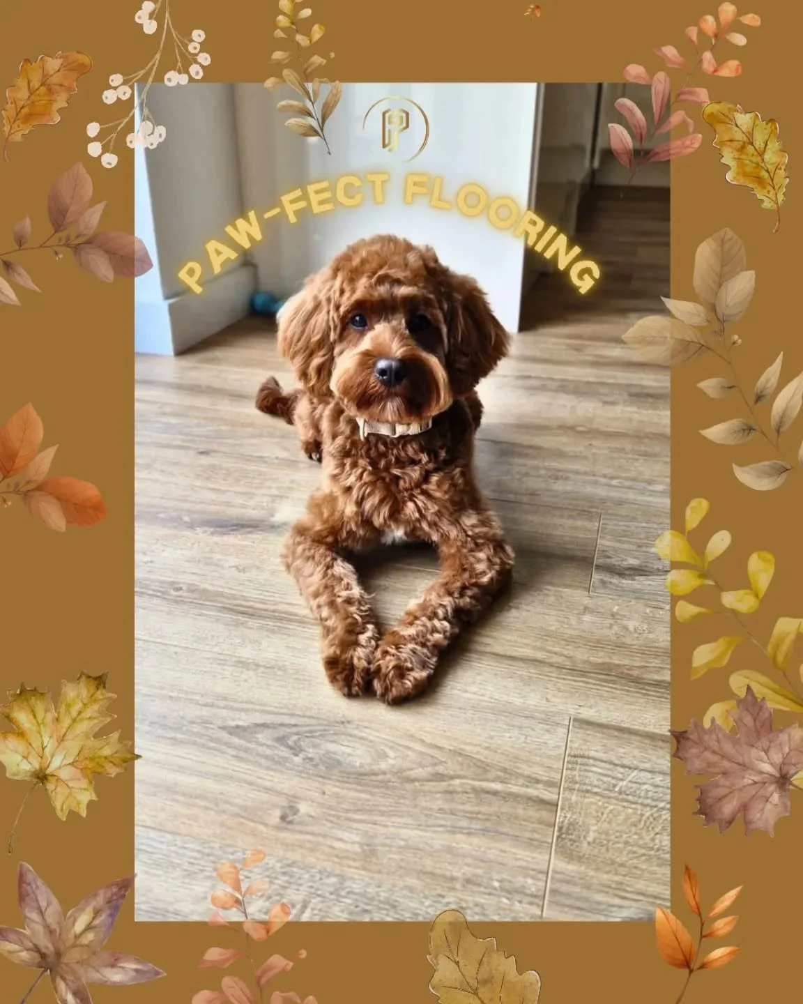 🍁Cosy mornings, crunchy leaves, and floors your pup will never want to leave.

Upgrade your home this autumn with flooring that&rsquo;s stylish, scratch-resistant, and paw-approved!🐶
Pop in to our showroom to explore our extensive range of flooring
