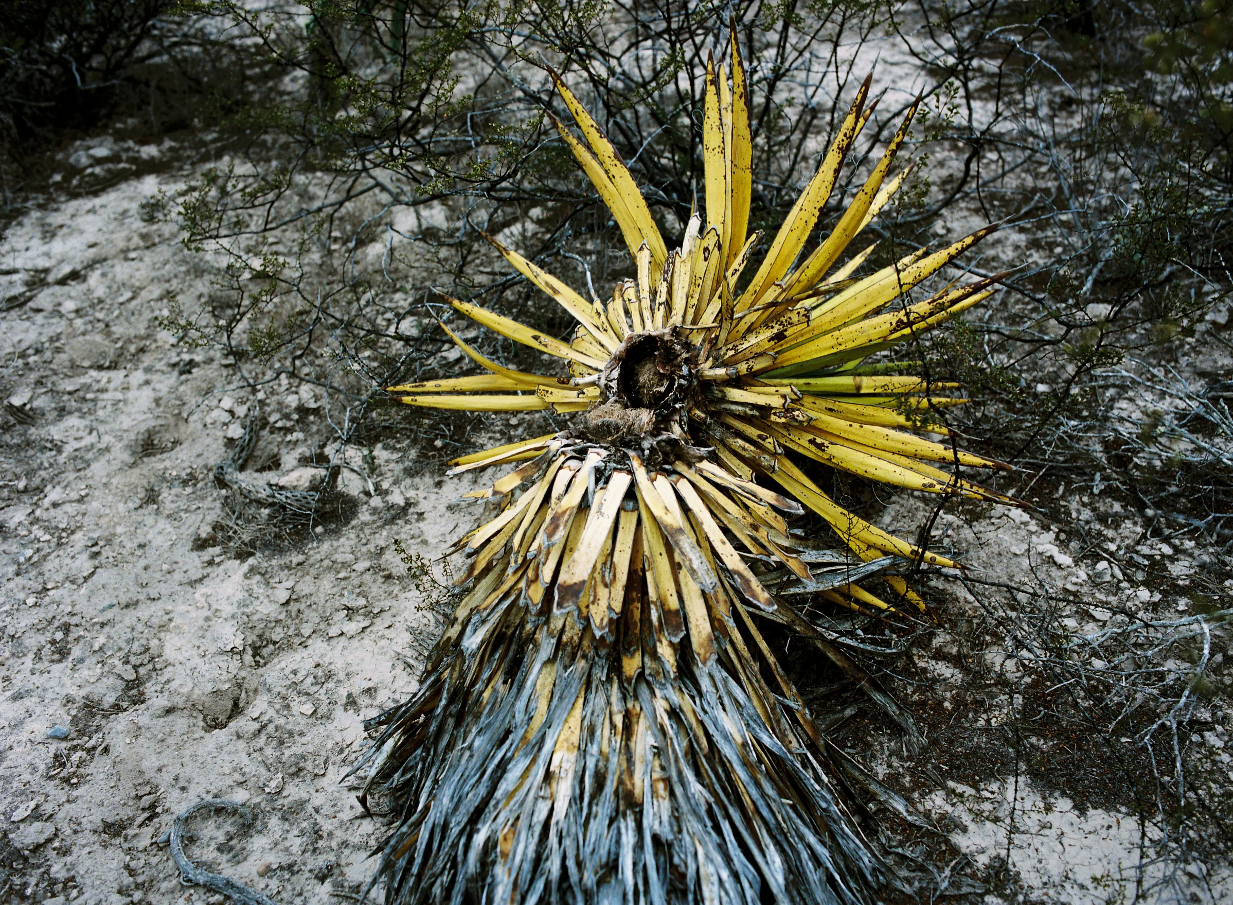 R1-05714-0006.jpg