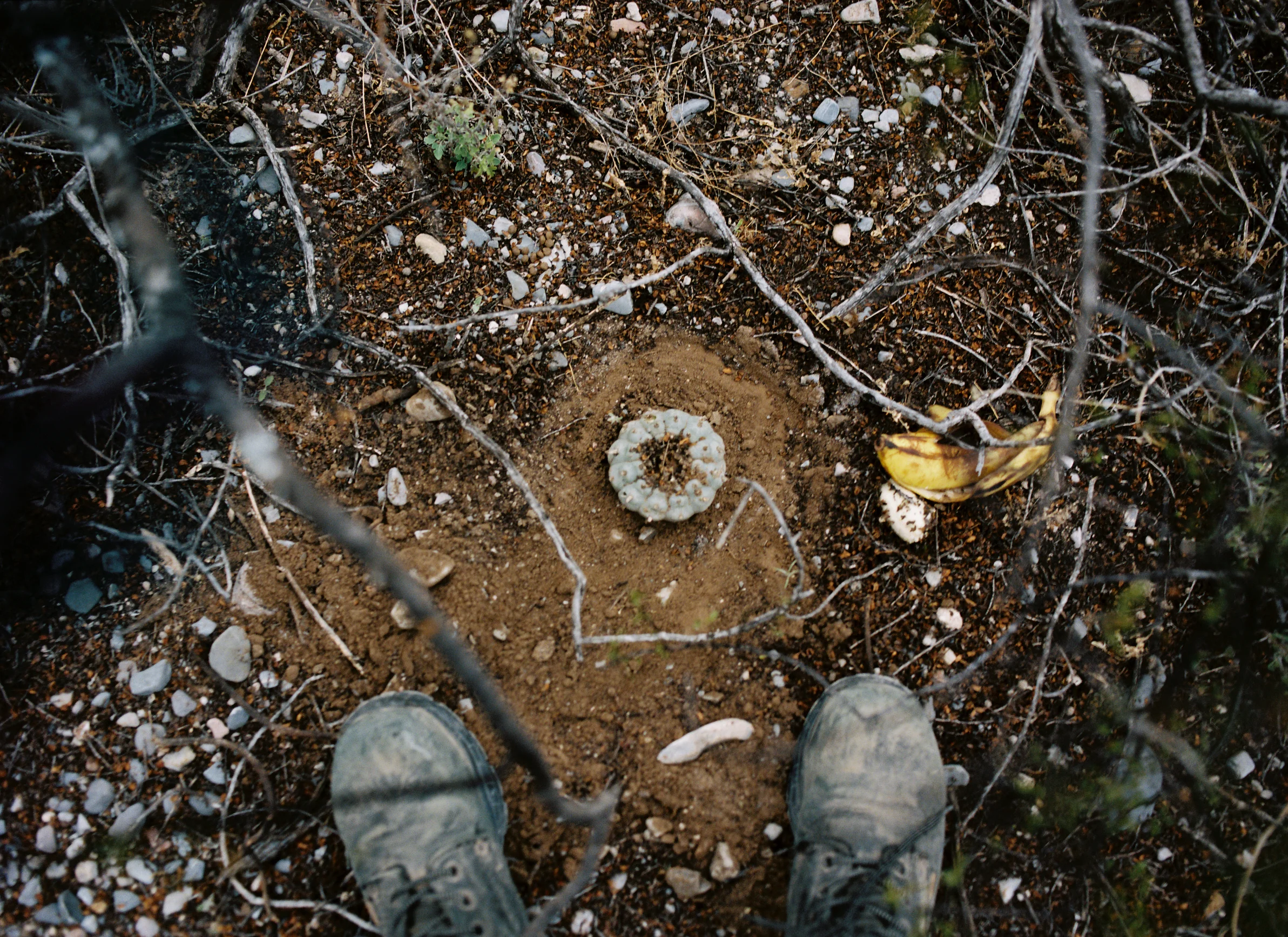 R1-05714-0009.jpg