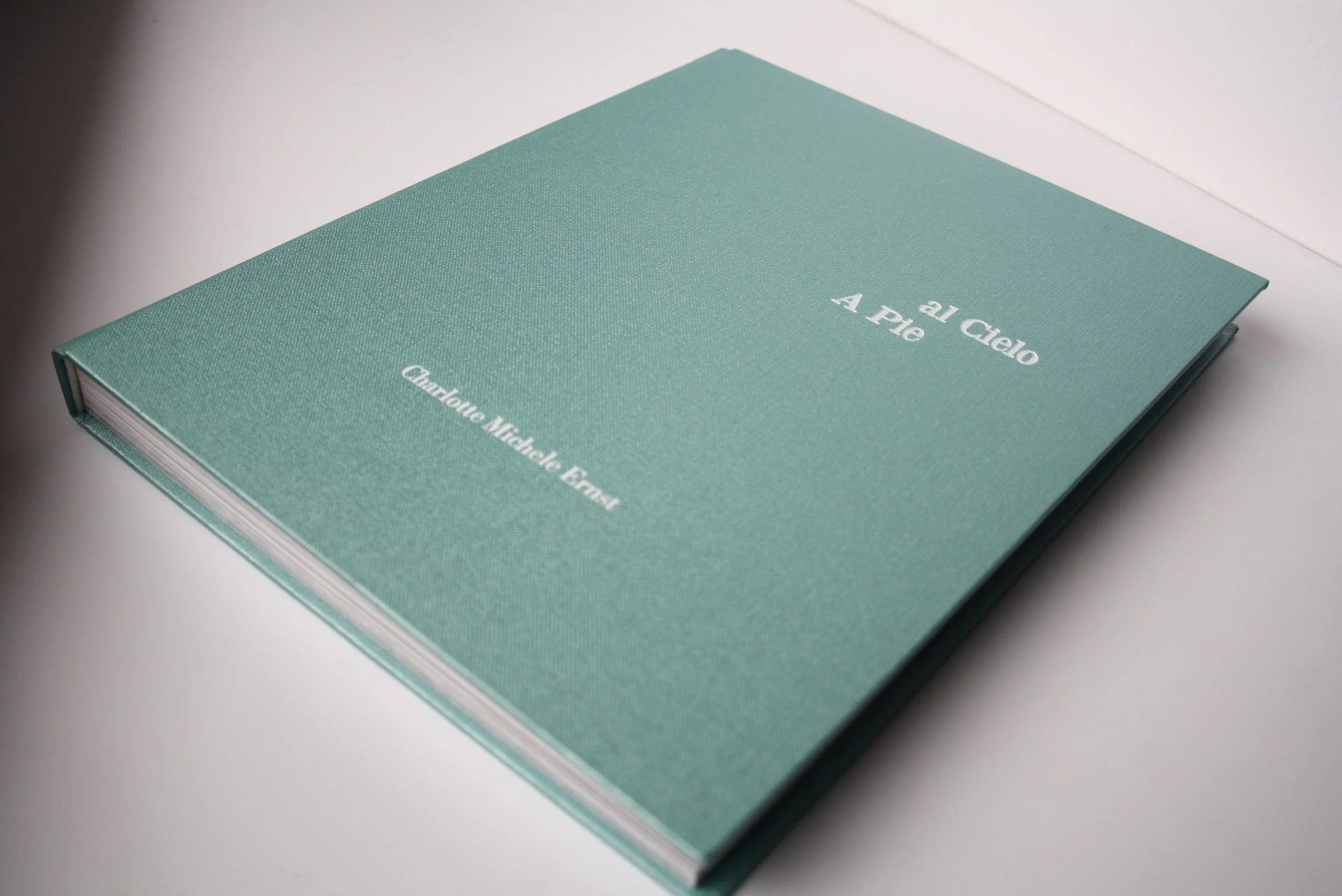 Buch-cover-1.jpg