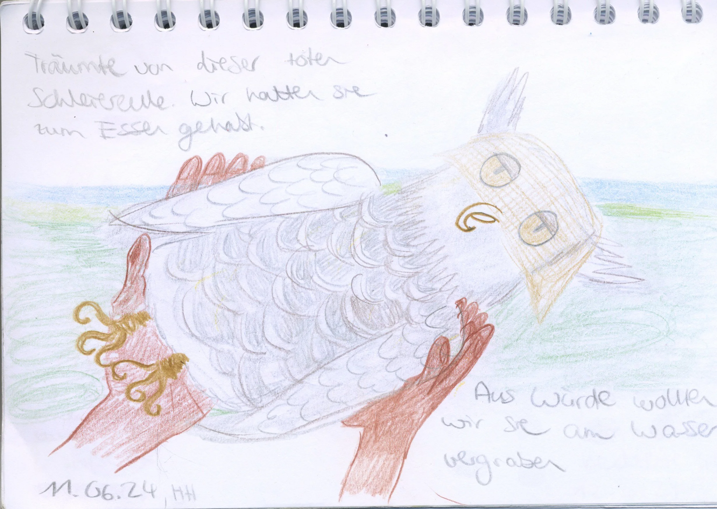 03_laying barn owl to rest.jpg