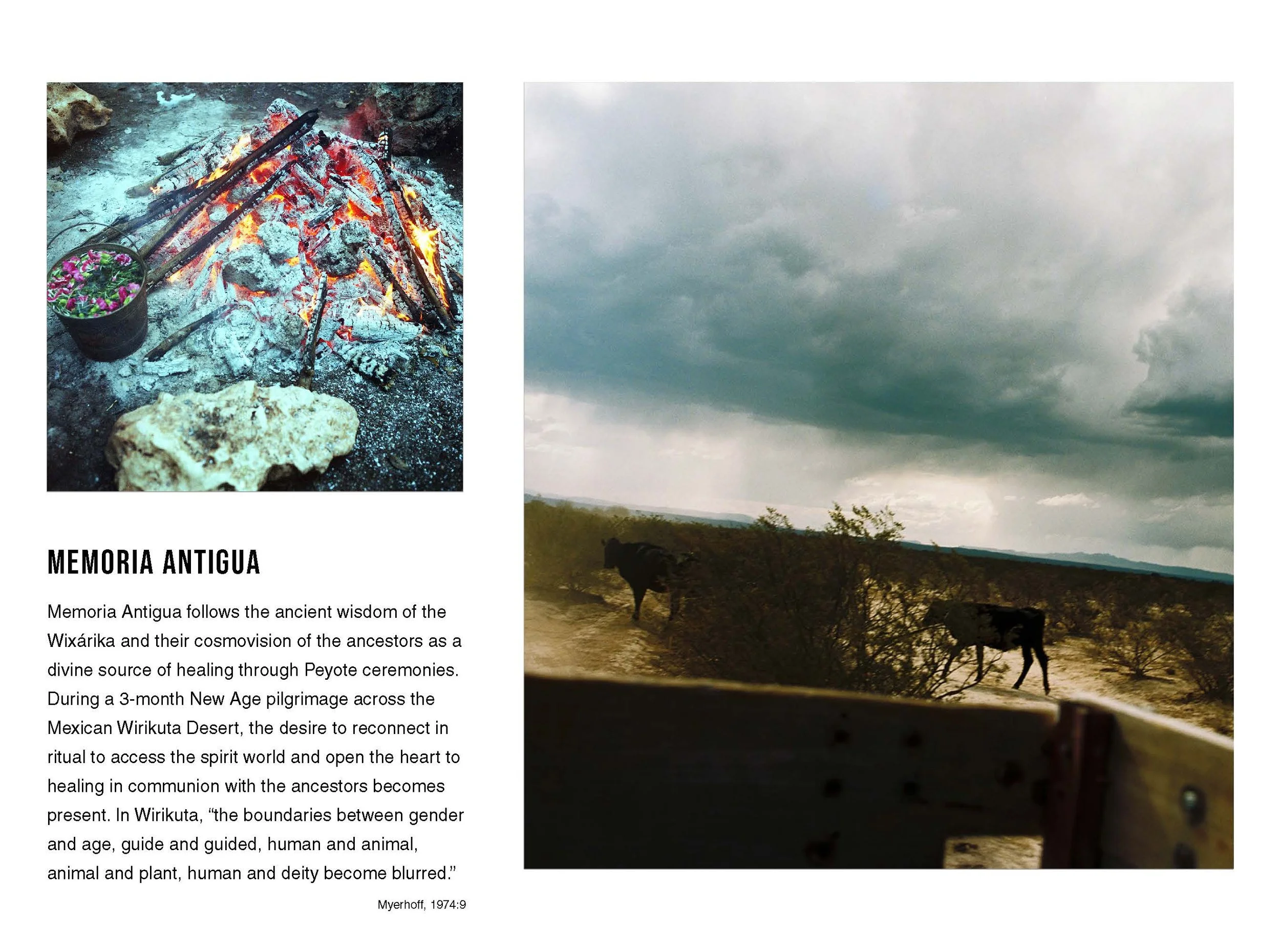 2025_Portfolio_Charlotte_M_Ernst_Seite_24.jpg