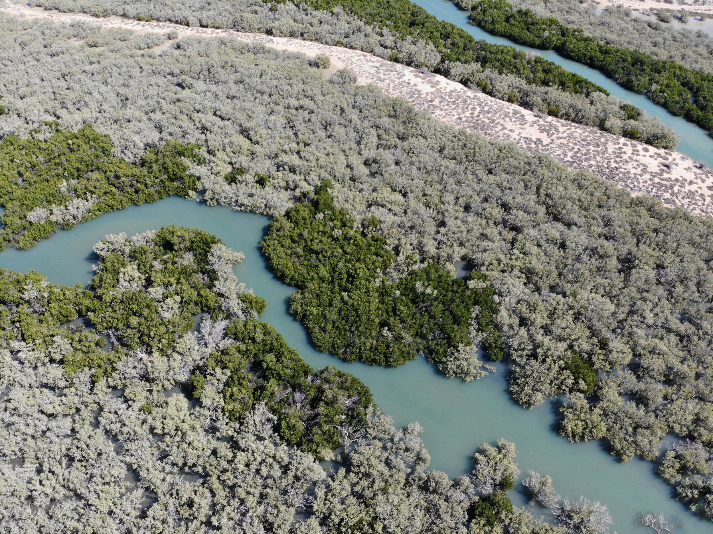 DJI_0027.JPG