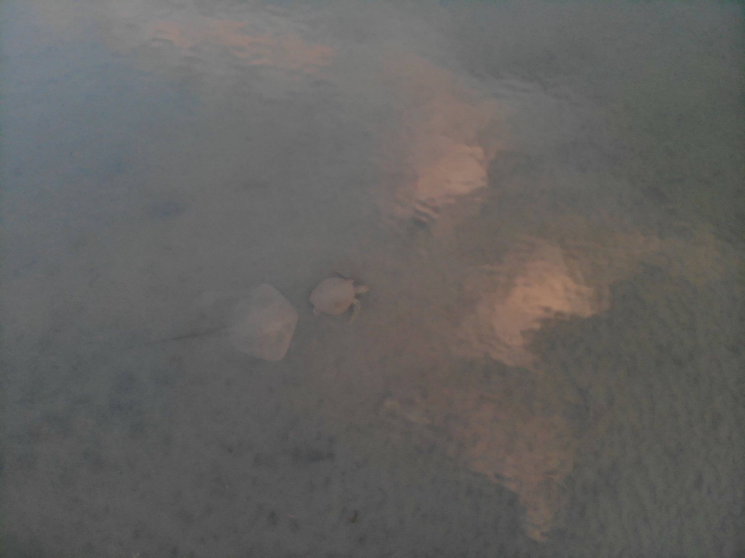 DJI_0147.JPG