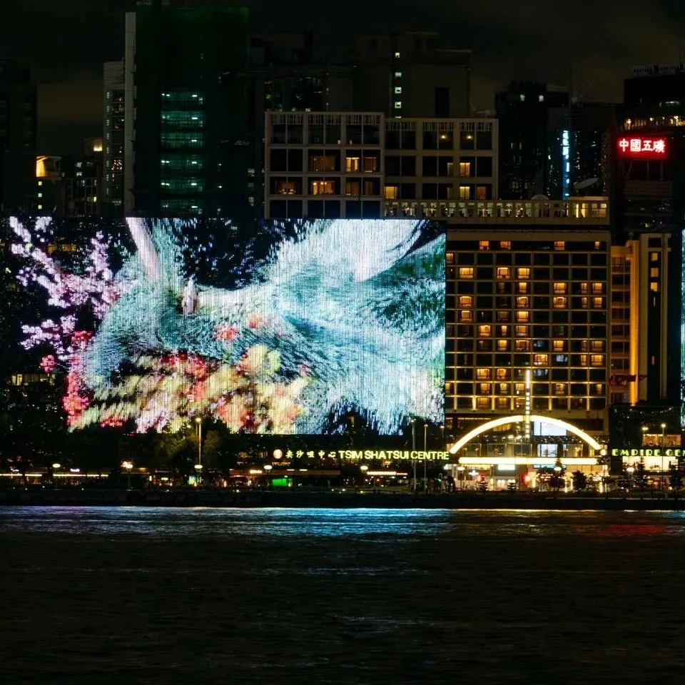 WAY OF FLOWERS
HKWALLS x SINO GROUP