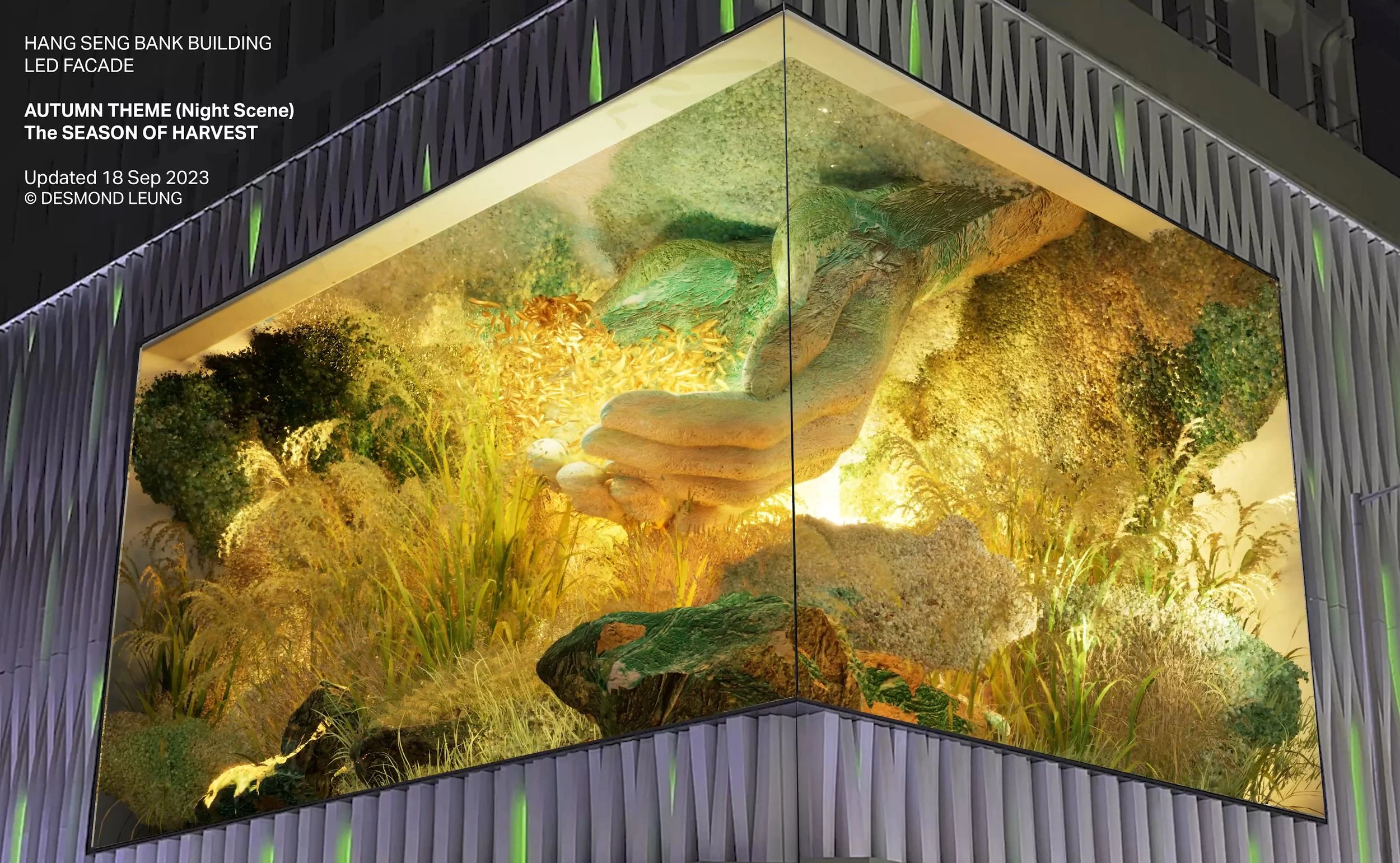 final hands night.jpg