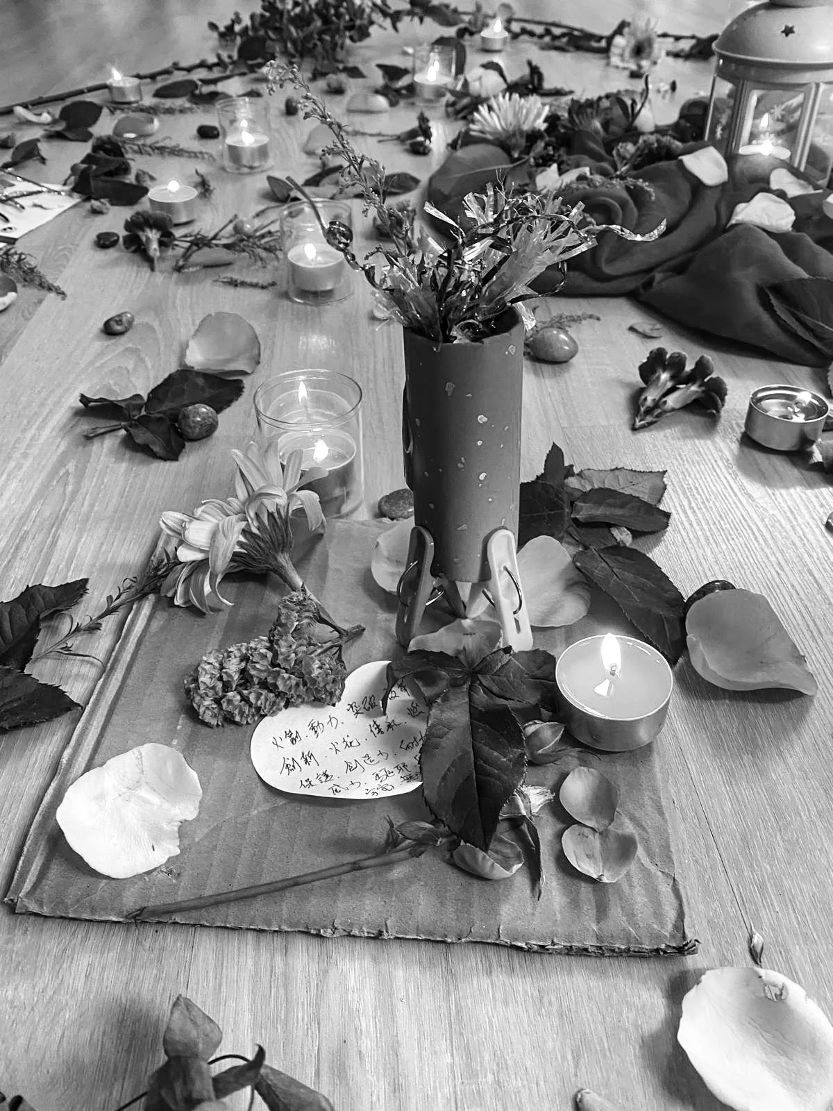 8dbc8136-2a00-4686-ae6a-a64f24b311cc copy.jpg