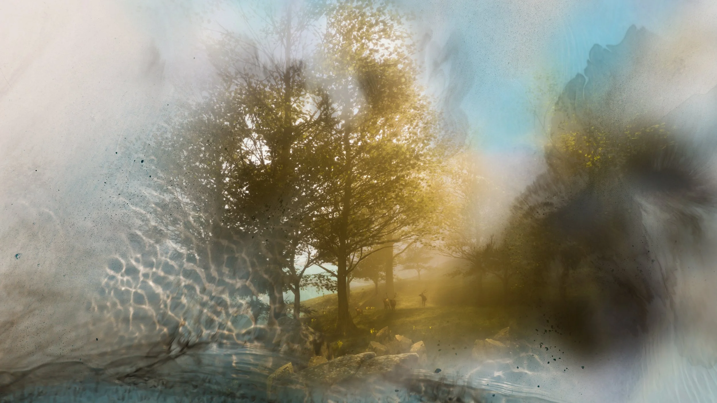 Composite 149 copy.jpg