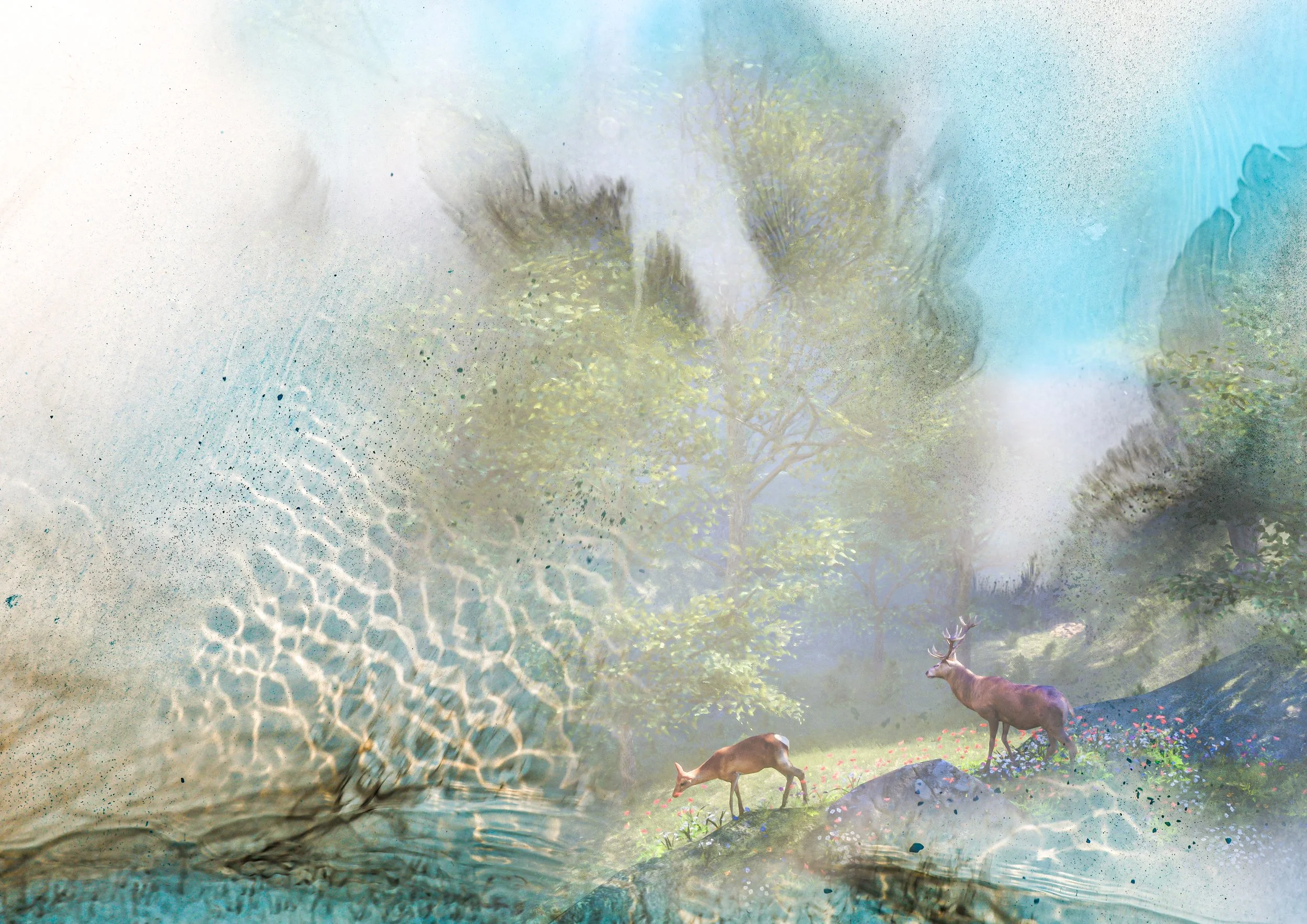 Composite 73 copy.jpg