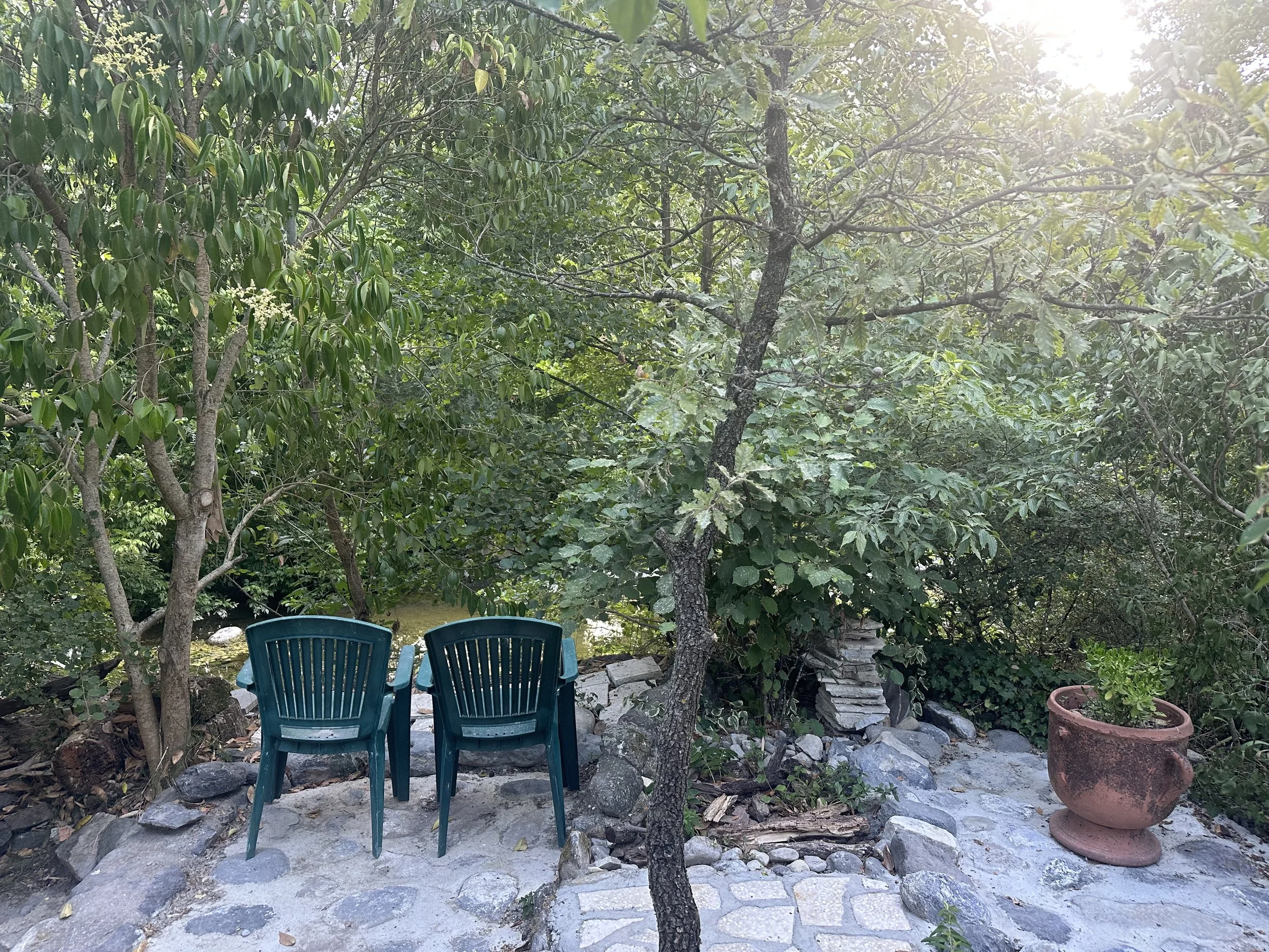 2025-07-08 09.11.17.jpg