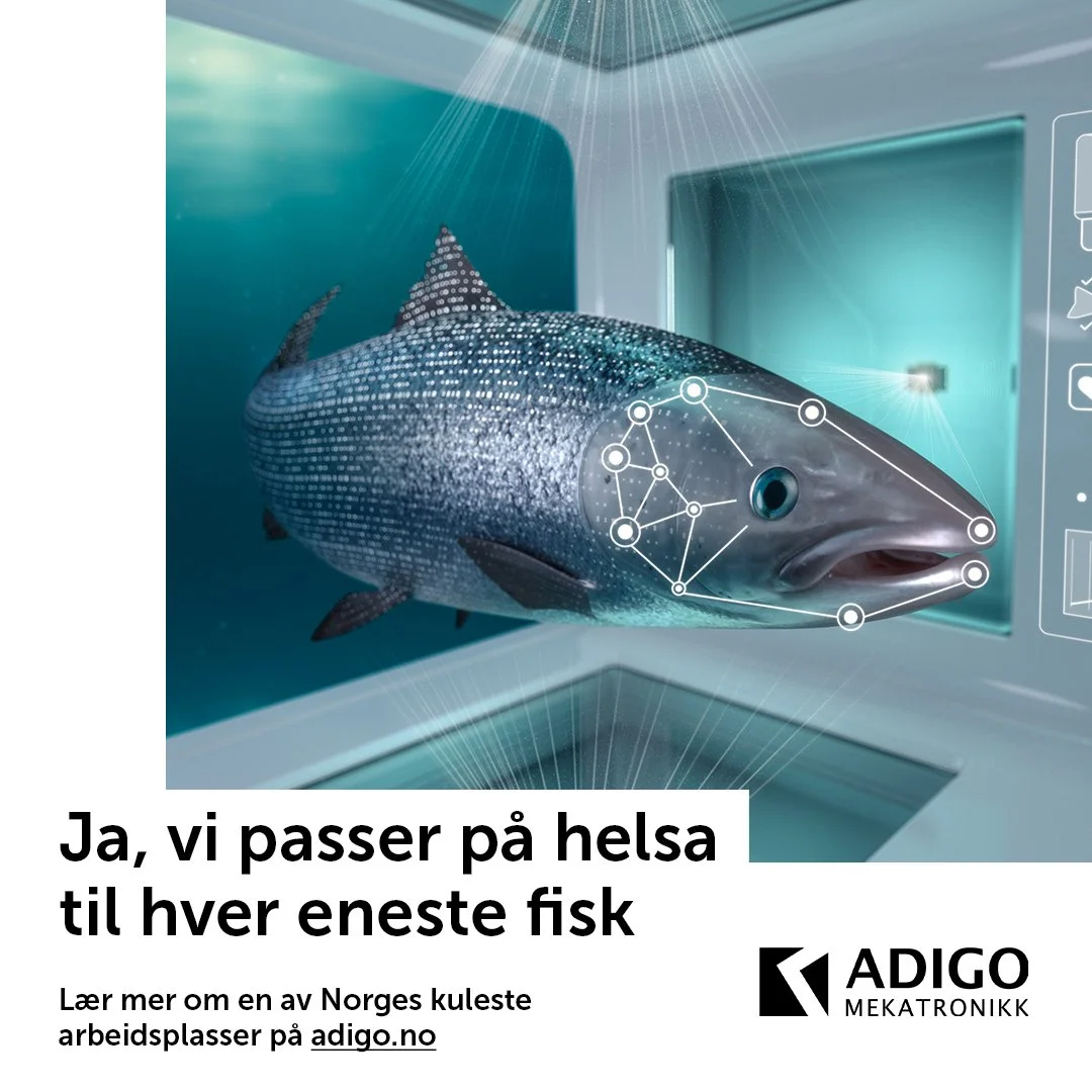 Adigo bildeinnlegg 3, publ. 19.08.2022.jpg