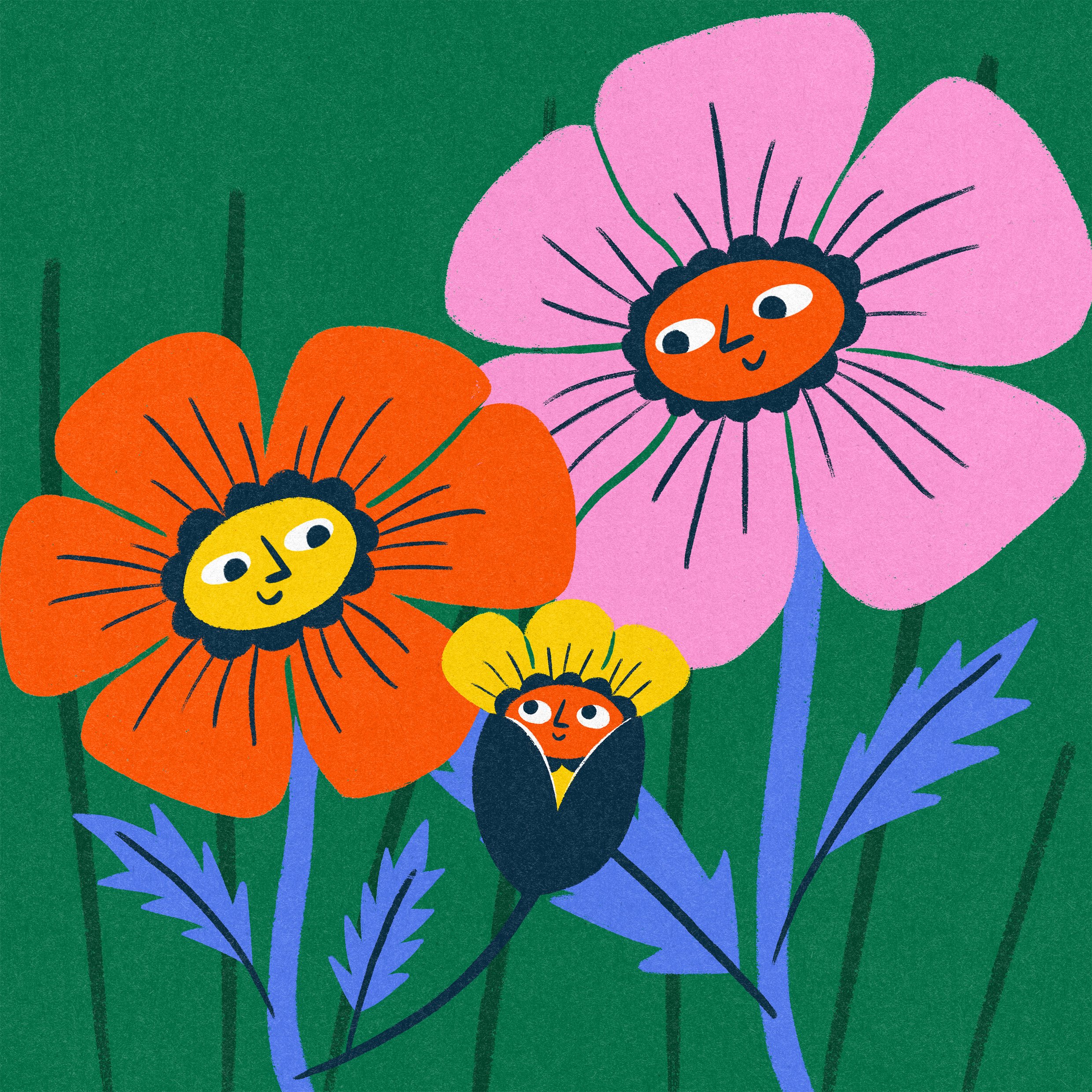 Two colourful flowers looking down at their new baby bud.