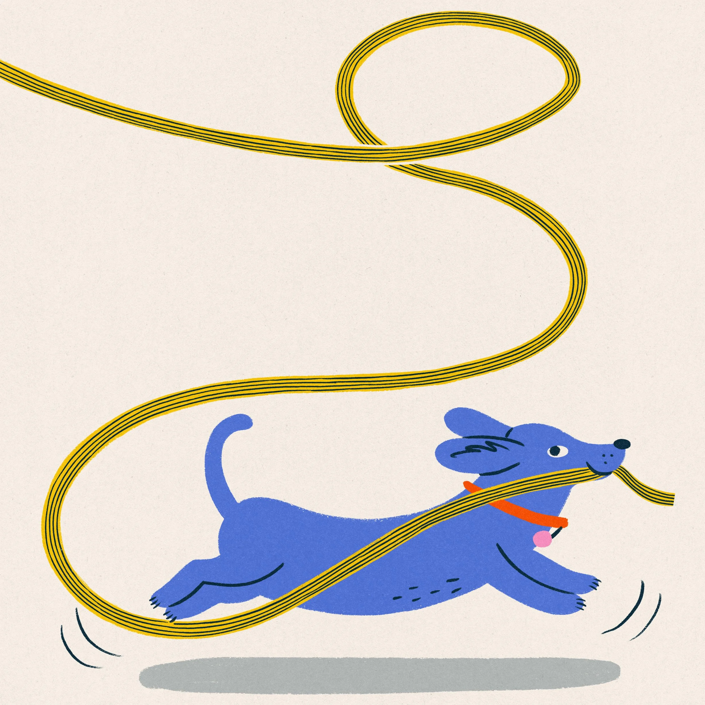 A dog running away with a rope.