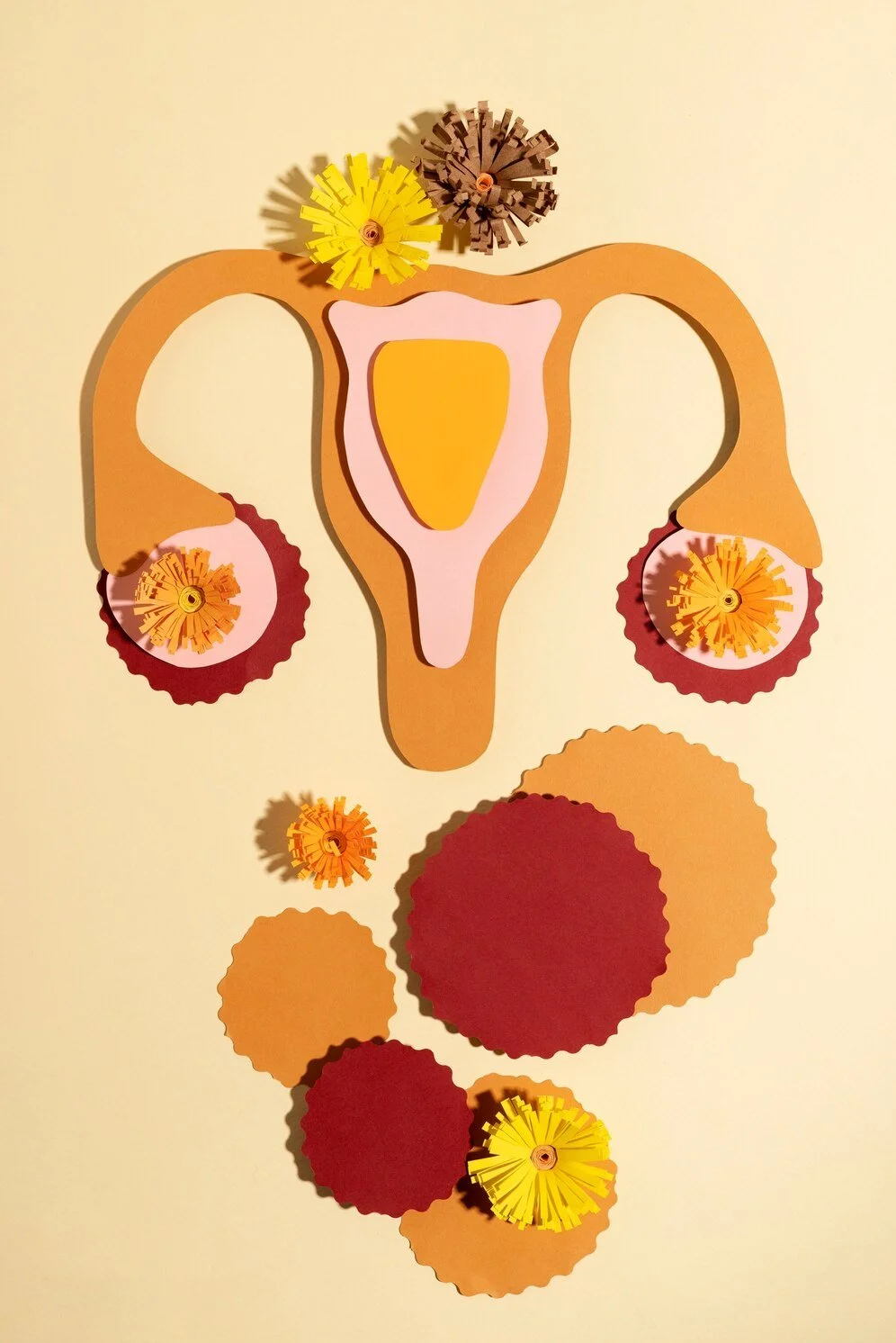 Understanding the menstrual cycle: phases, hormones and visual insights