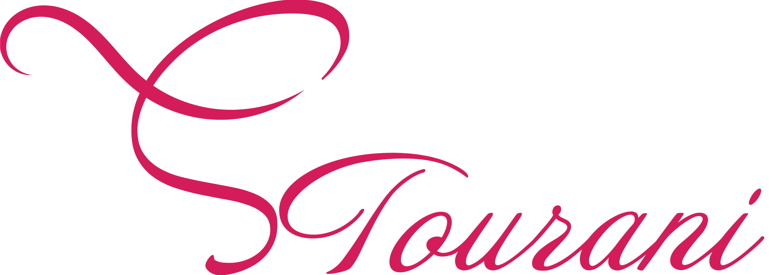 Logo Dr Saam Tourani Melbourne Breast Surgeon, Endocrine Surgeon, General Surgeon