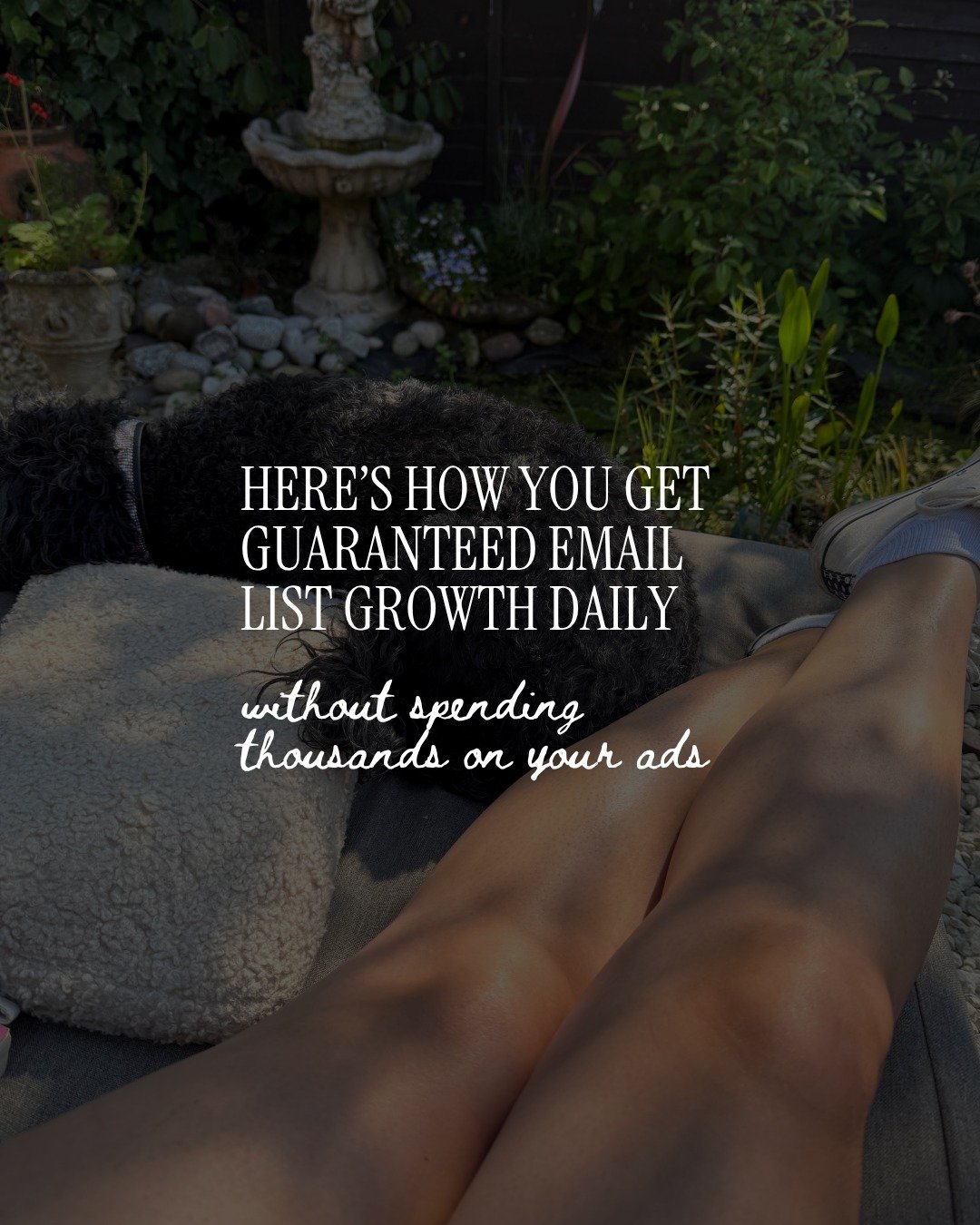 Guaranteed list growth and a proven system to convert them? That's FLOW ...

Of course there's the practical side of your ads set up - but once that's done and the leads are flowing, what happens next is just as important.

The leads you've brought o