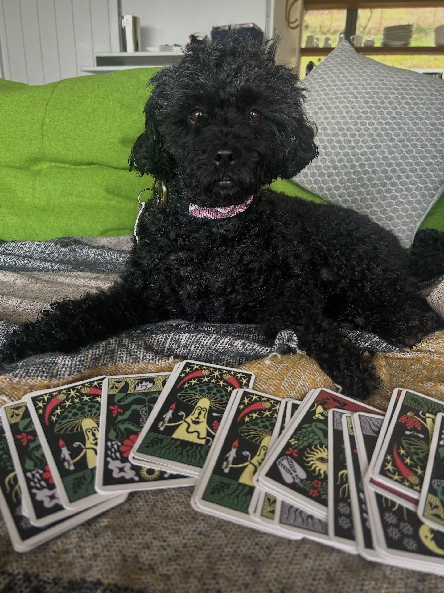 2025 you were fun &hellip; 2026, I already know you&rsquo;re guna be even better ✨✨✨✨