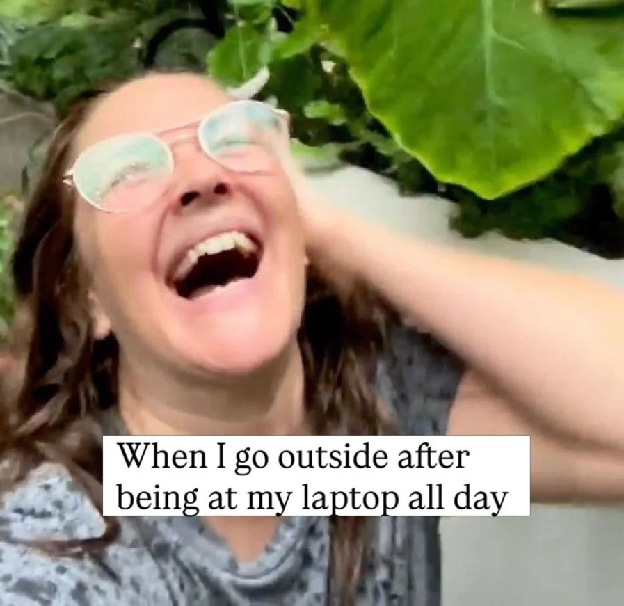 Meme Monday ✨✨✨