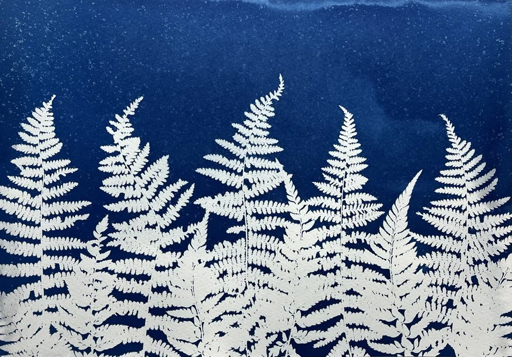 Prussian blue original cyanotype photogram prints — Skevy Stylia Art