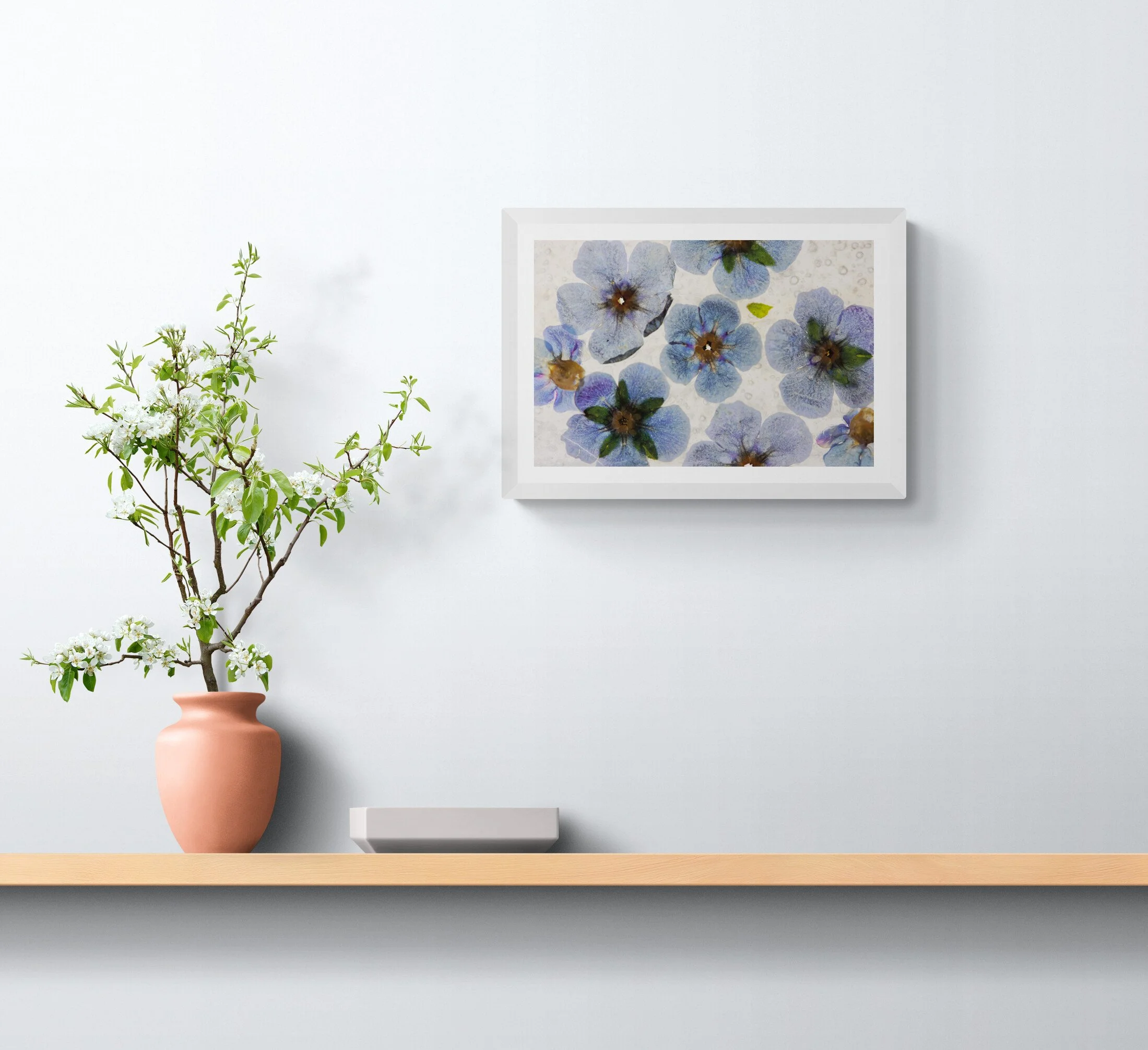 wax flower medium .jpg