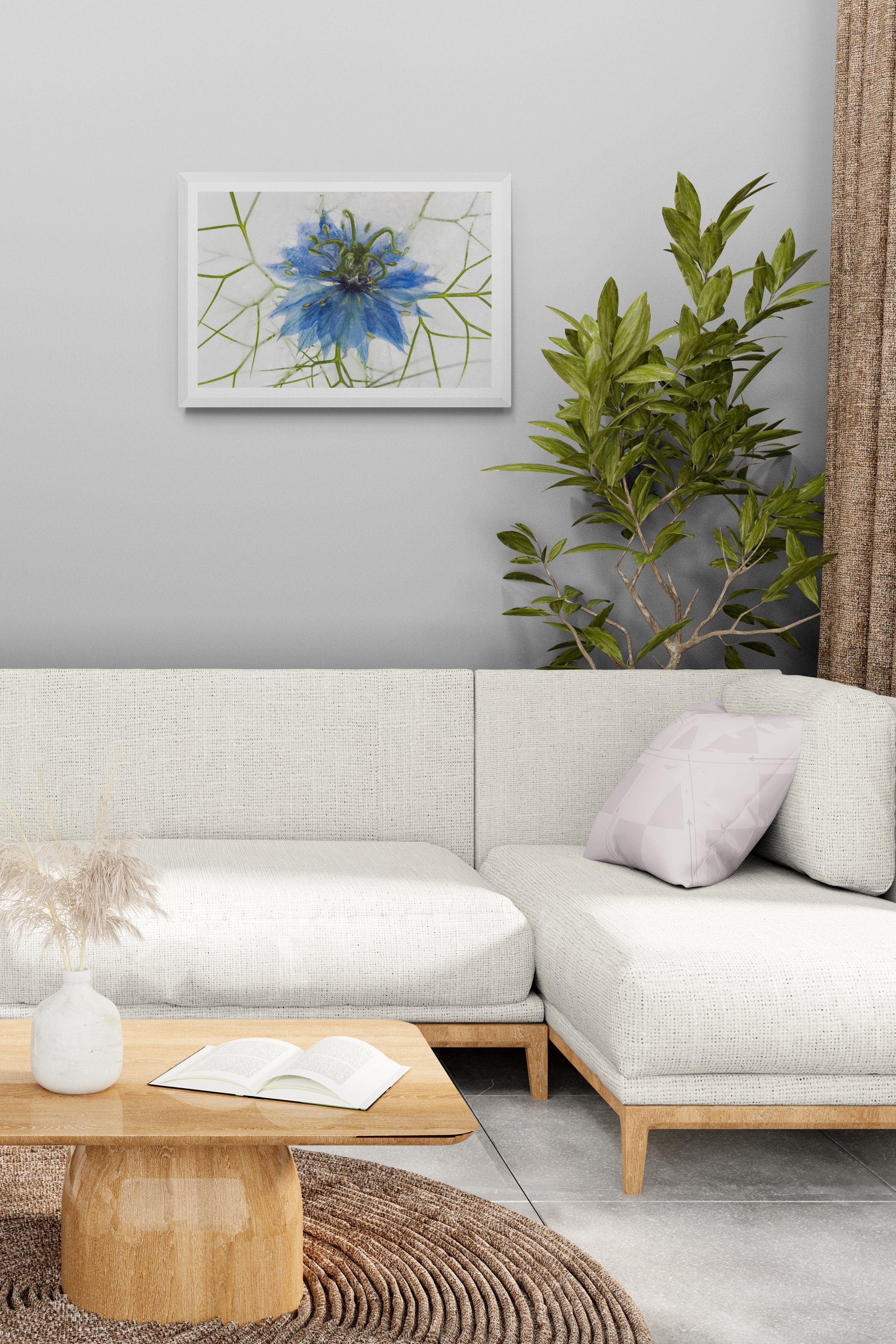 living-room-with-sofa-and-leafy-plant 4.jpg