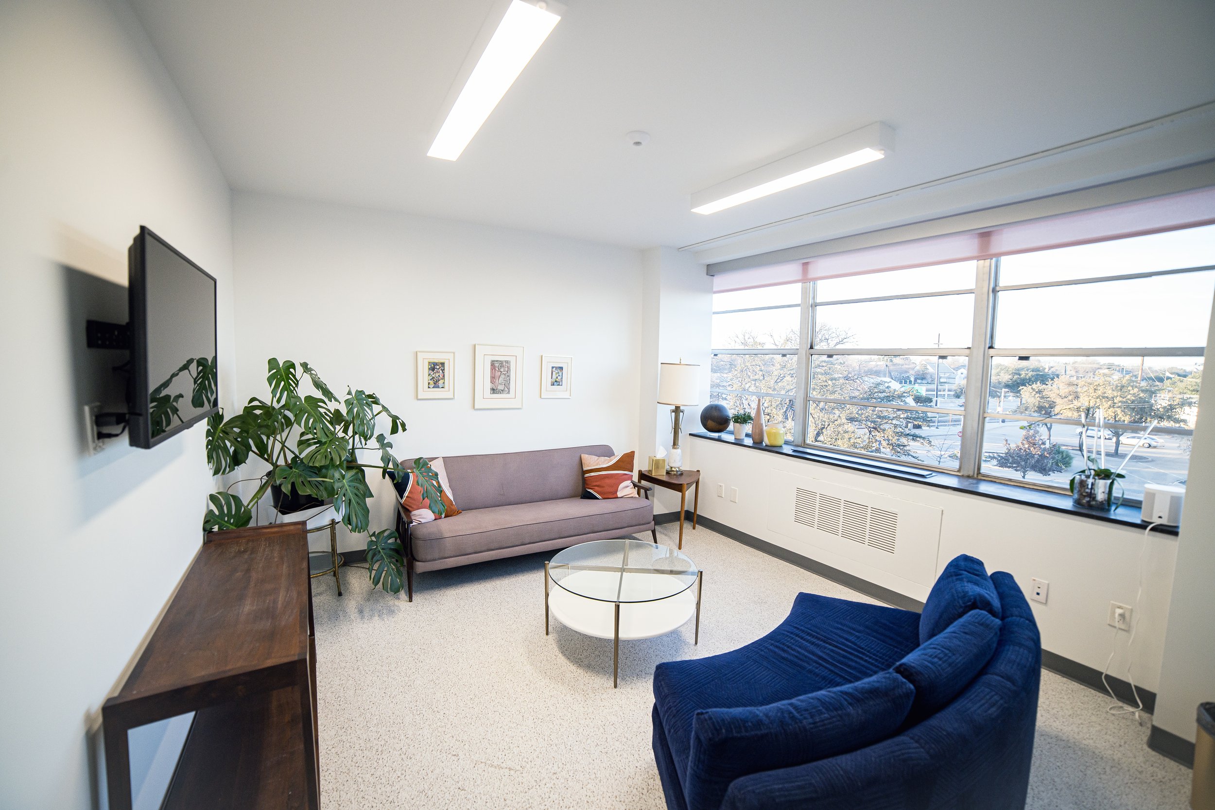 Scottie - Office of Dr. Ashley Agan