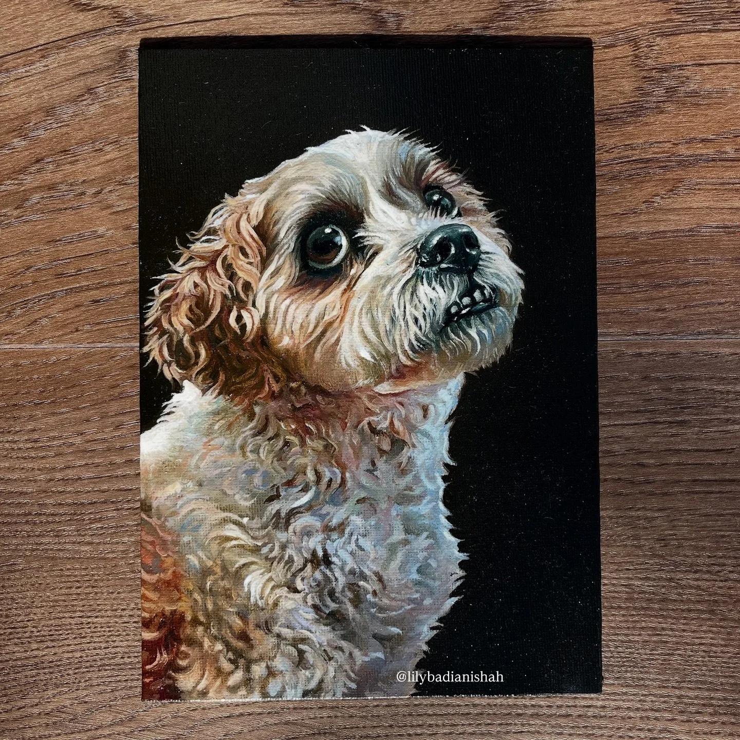 &lsquo;Mr Cuddles&rsquo;🐩⁣
⁣
This painting was actually the fastest I have ever done, as it only took 3 days! I think it&rsquo;s worth noting that I did initially struggle with shape however I think it turned out quite well! To improve I possibly co