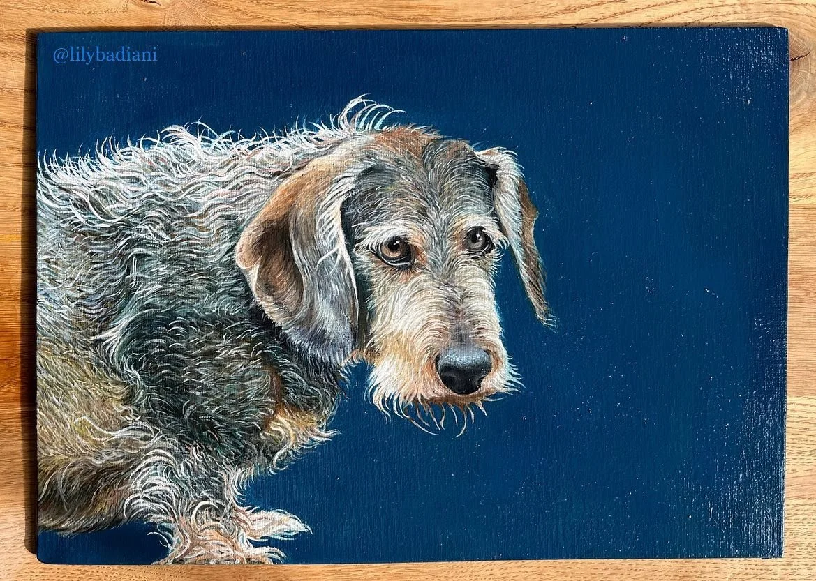 &lsquo;Max&rsquo; 🐕
This took me 4-5 weeks! Was also my first time painting hair so it took quite a lot of undoing and redoing 

Windsor and Newton Oil Paints on canvas board ✨