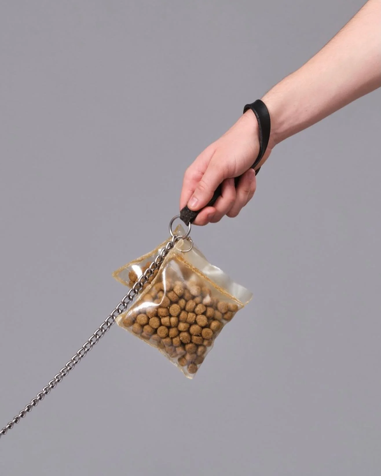 &lsquo;TEMPORARY&rsquo; &thinsp;
&thinsp;&thinsp;&thinsp;
Portable Biodegradable Dog Food Packets &thinsp;&thinsp;
&thinsp;&thinsp;
I made sheets of bioplastic using gelatine powder and glycerine, which I then heat-sealed together using a hair straig