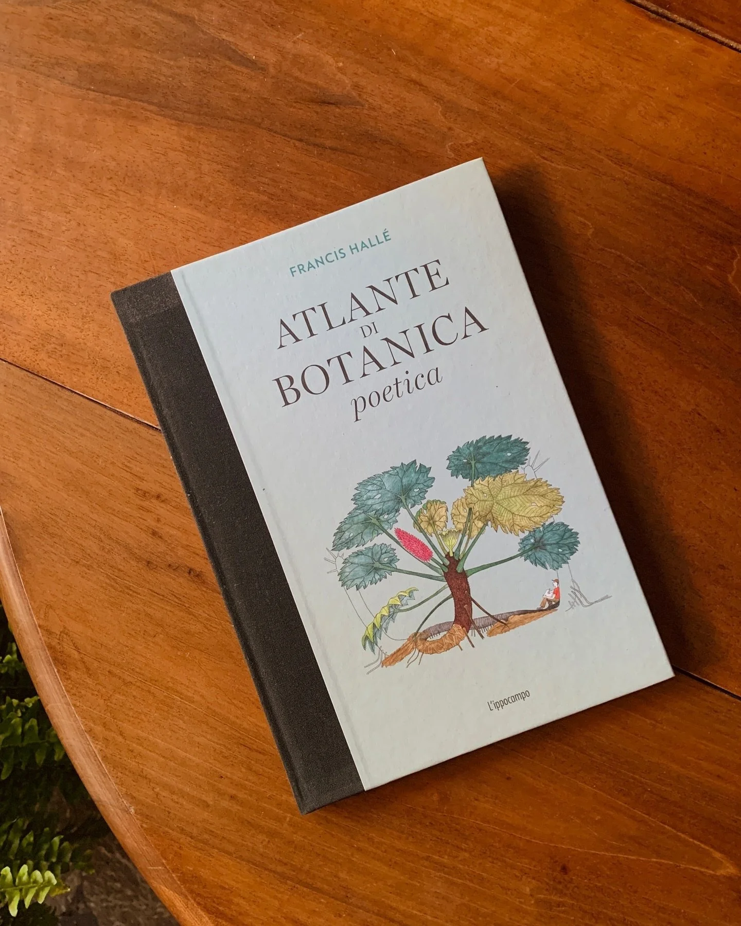 Ci sono libri che ci riportano alle nostre radici, al legame profondo e ancestrale che ci unisce alla terra. Pagine che parlano di appartenenza, di memoria e di quella forza silenziosa che ci radica e ci nutre. In un mondo in movimento, queste lettur