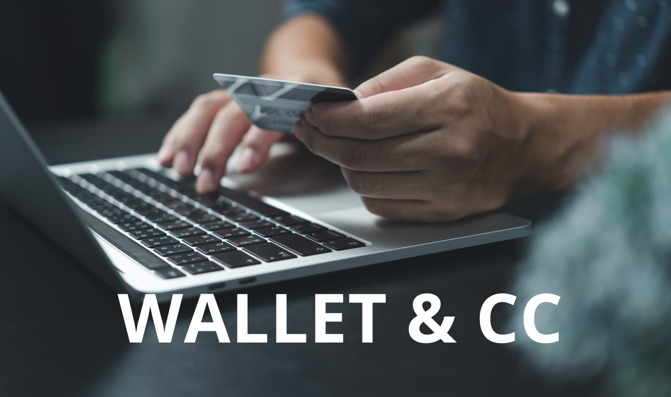 The REAL Wallet &amp; Credit Card Explained