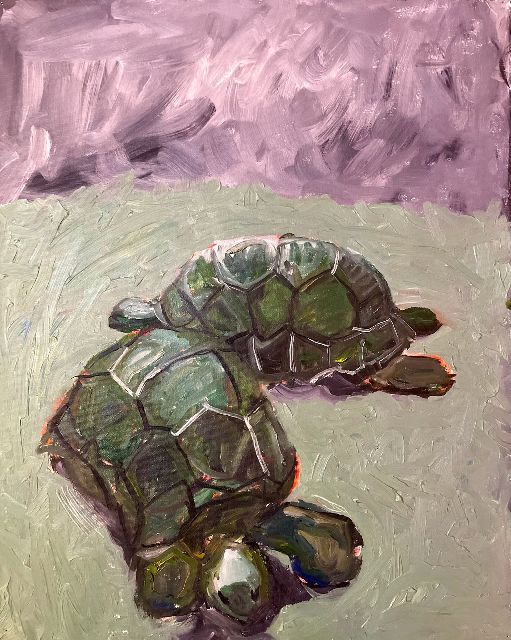 turtles at the zoo in scarborough (2025)
oil on canvas
20" x 16"
$40