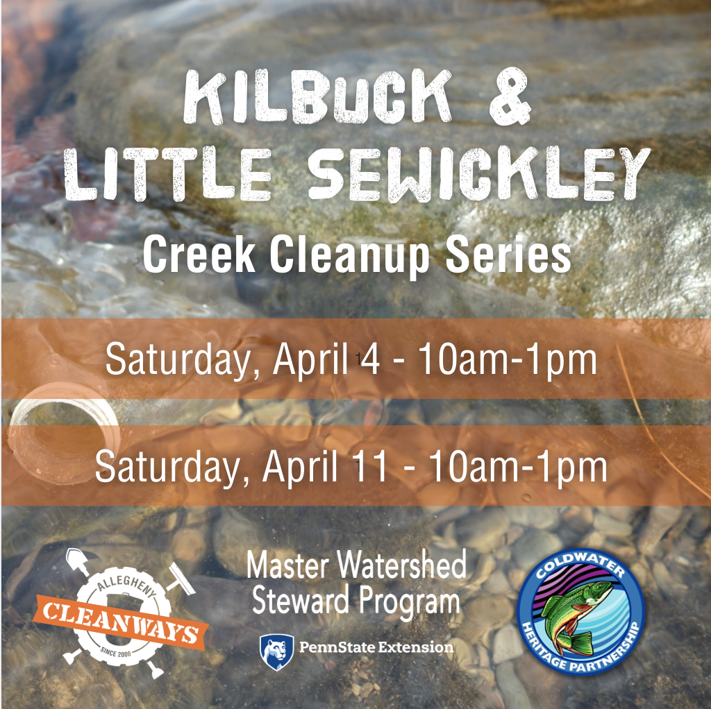 Environmental Education and Cleanup Event