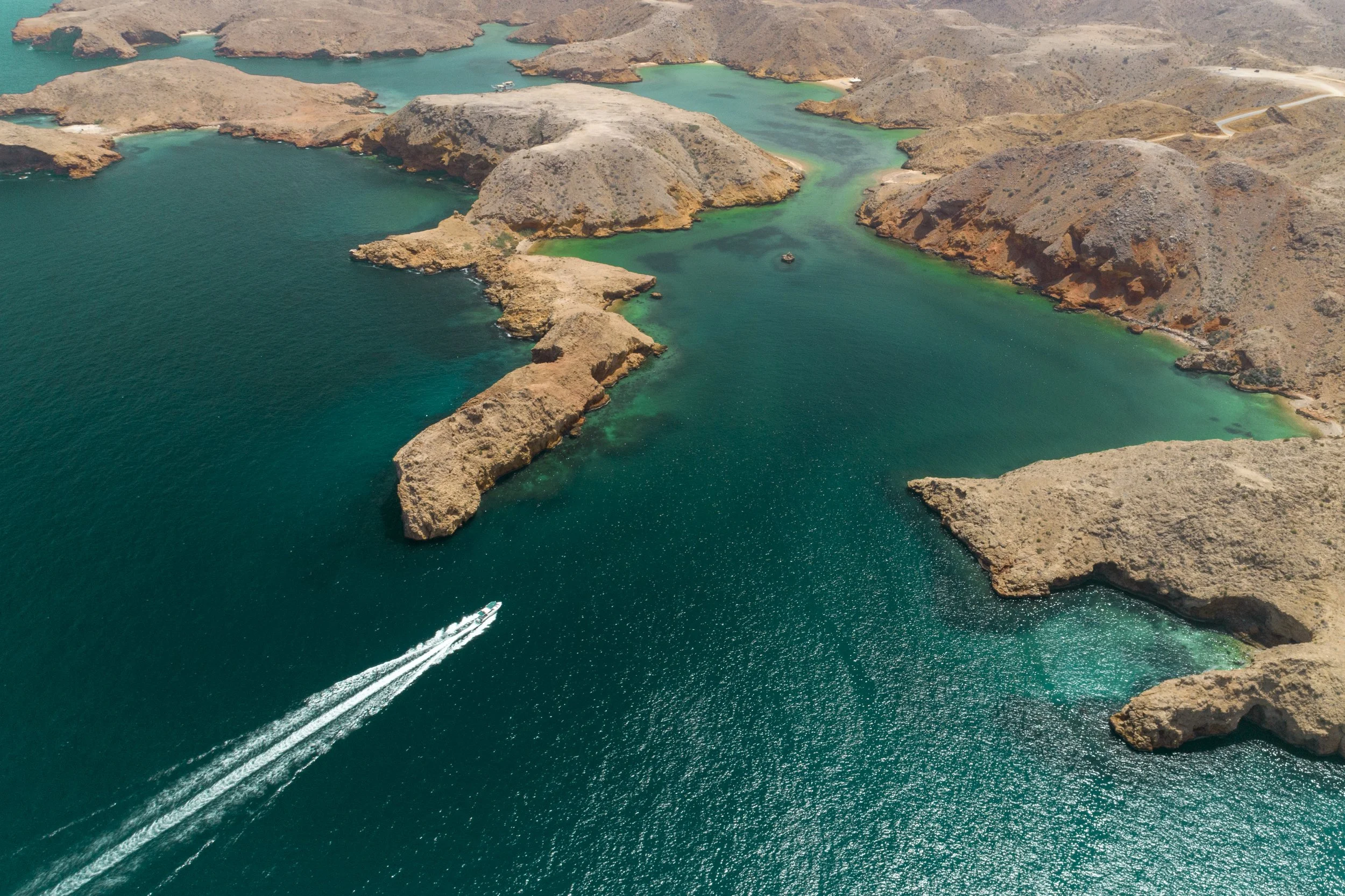 Alaaya, Muscat — Kingsland Hamilton