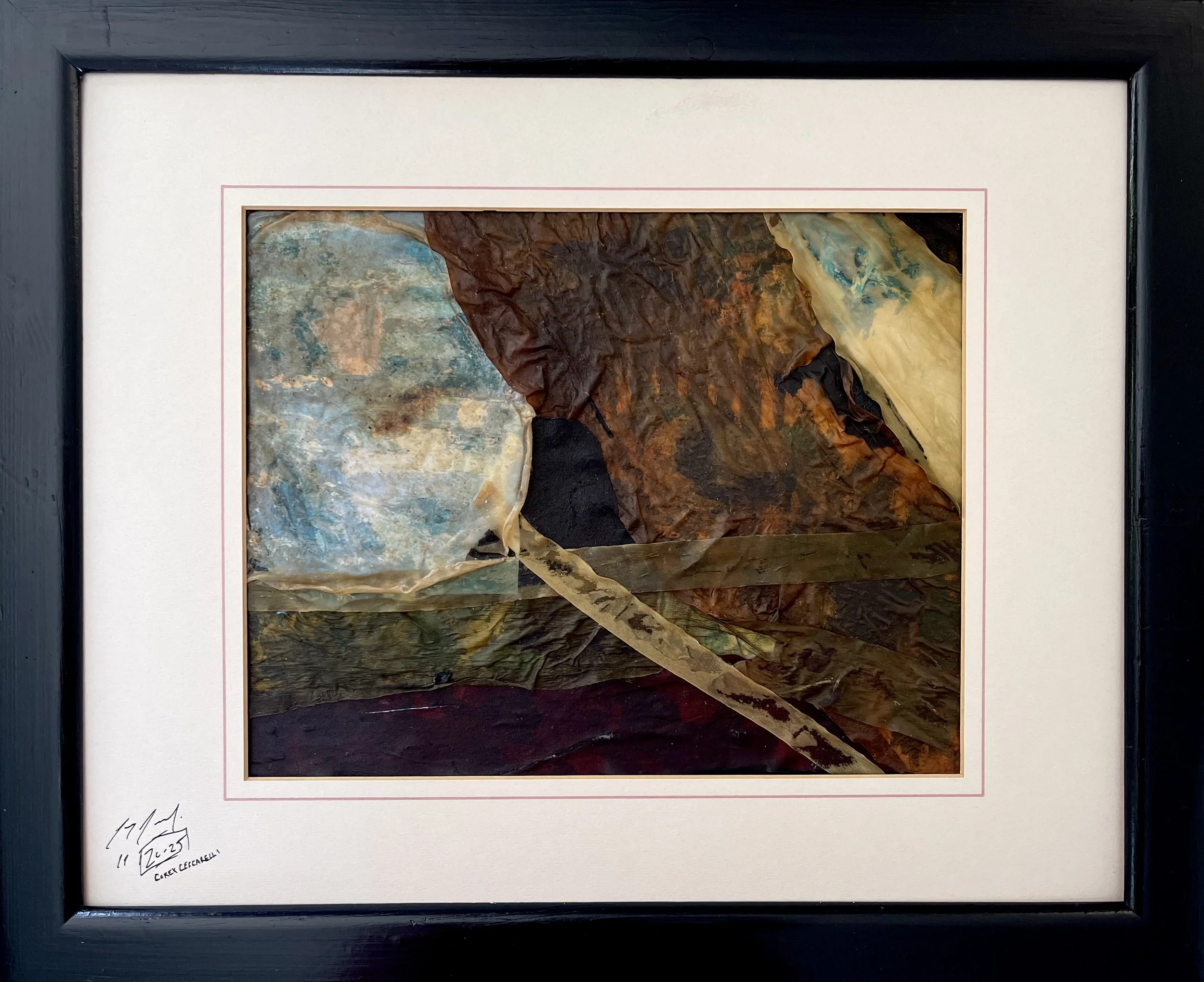 Vita is Life  |  Kelp